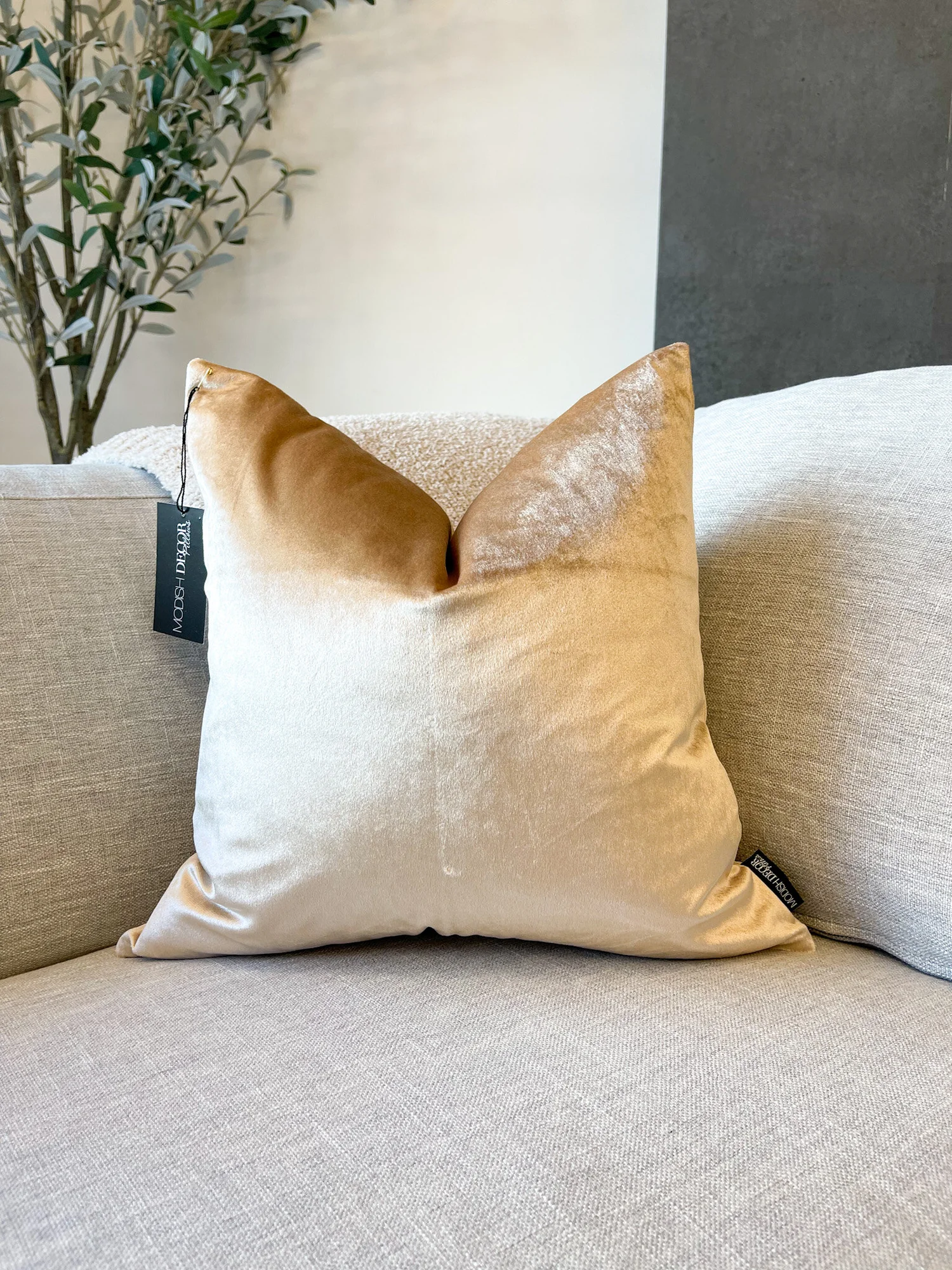 Champagne velvet cushions sales