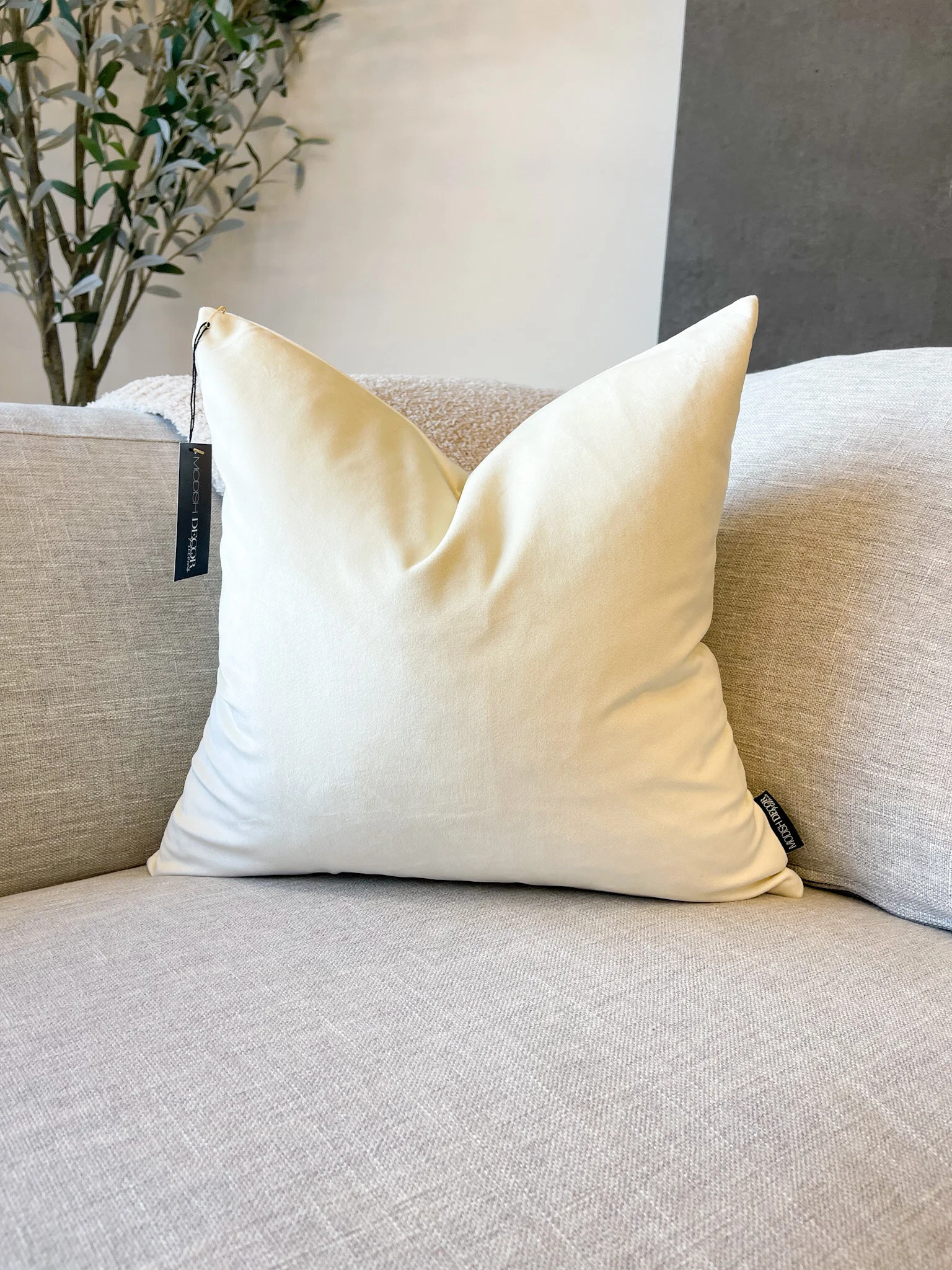 4B6C668C-542A-4A33-84E8-26A485B50B3D