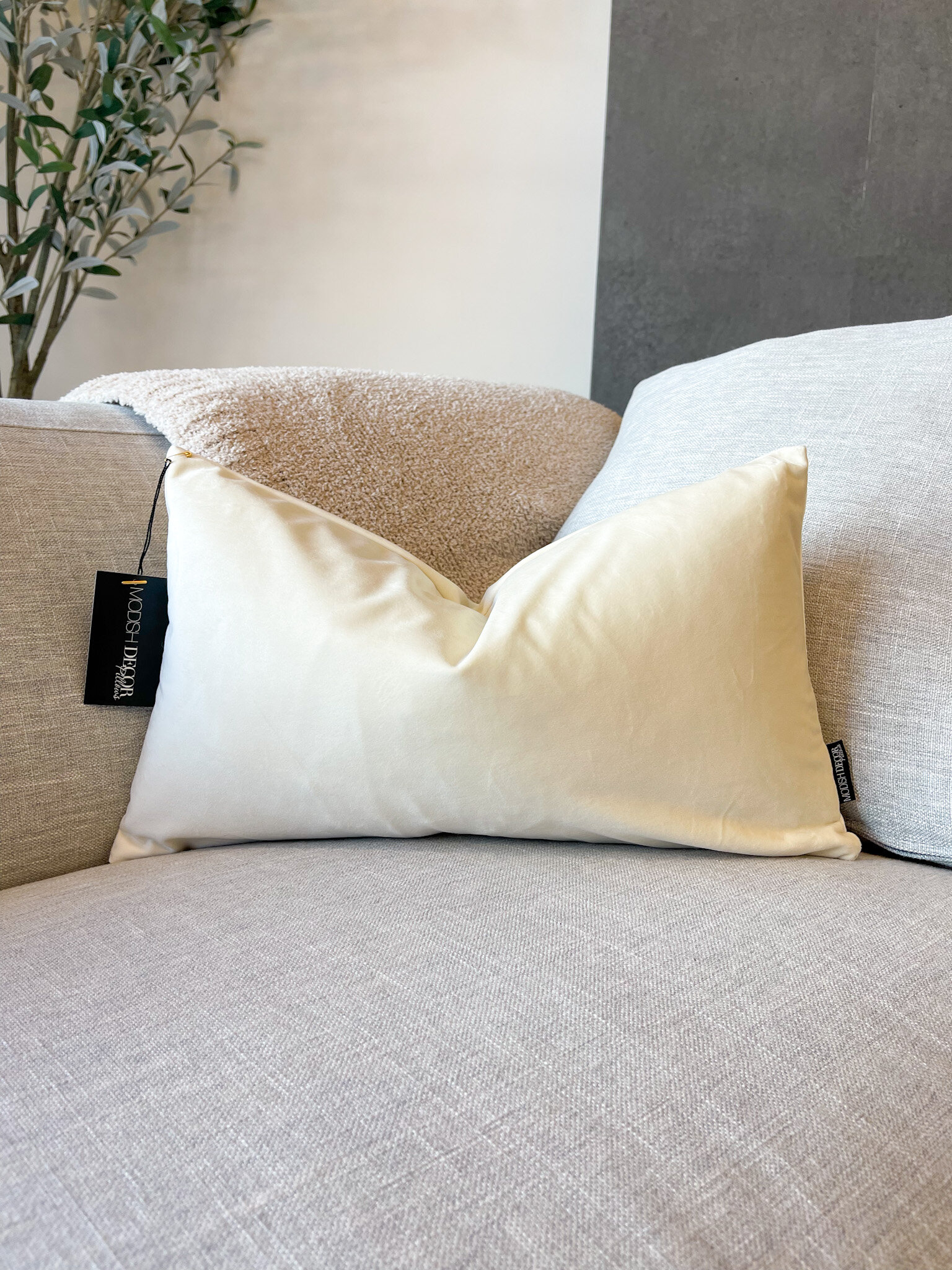 66B9A47D-B5A5-4CD8-B769-C9CF96D558EB