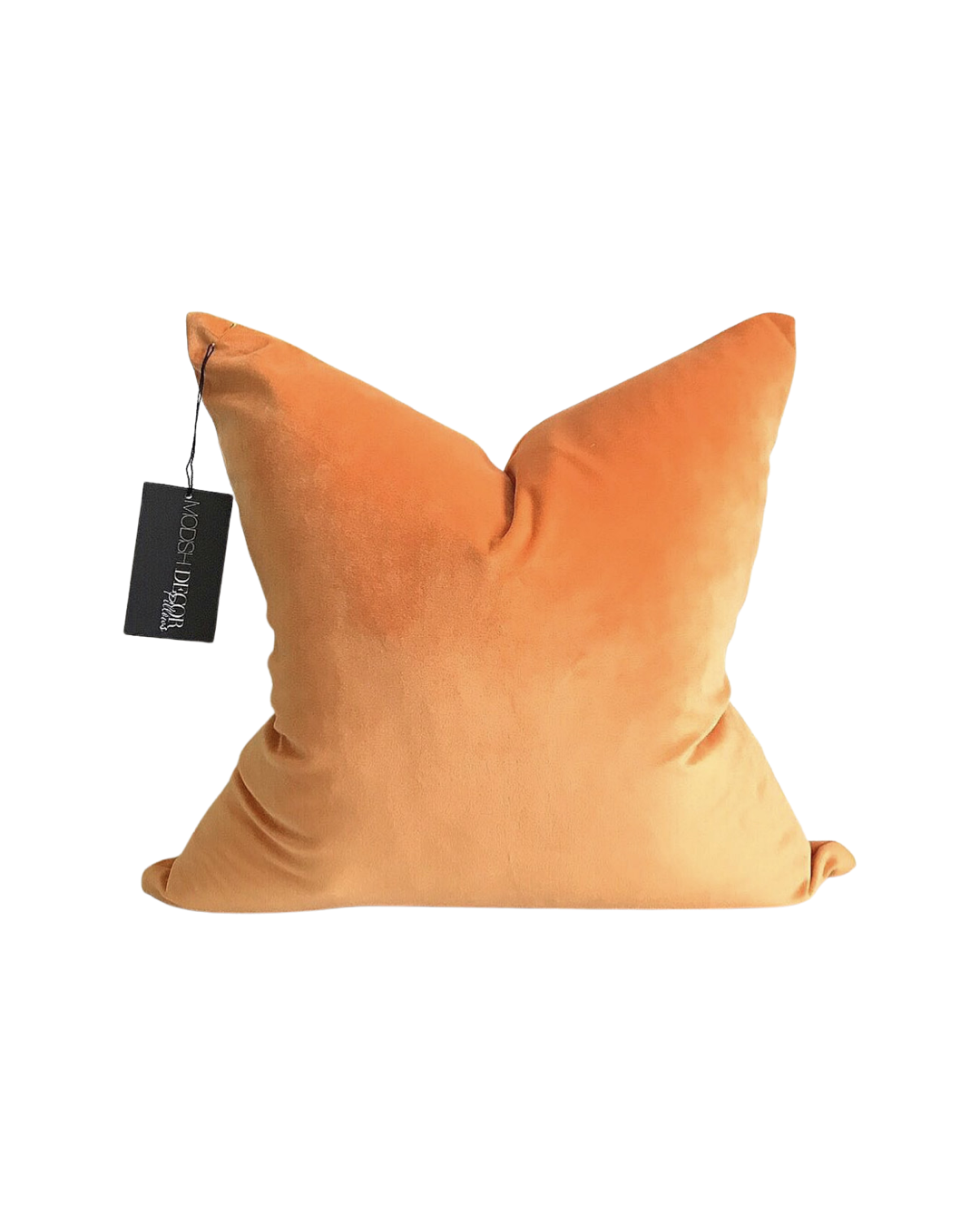 F8EF80E7-DAB6-4FA9-B95B-0E7481933692