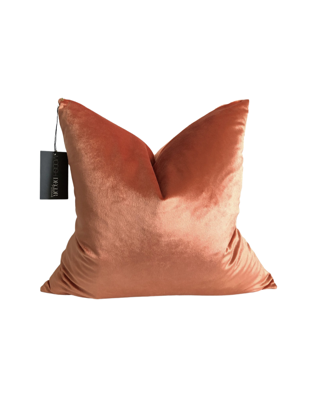 51EC6959-4247-42EF-BE6F-F45348543735