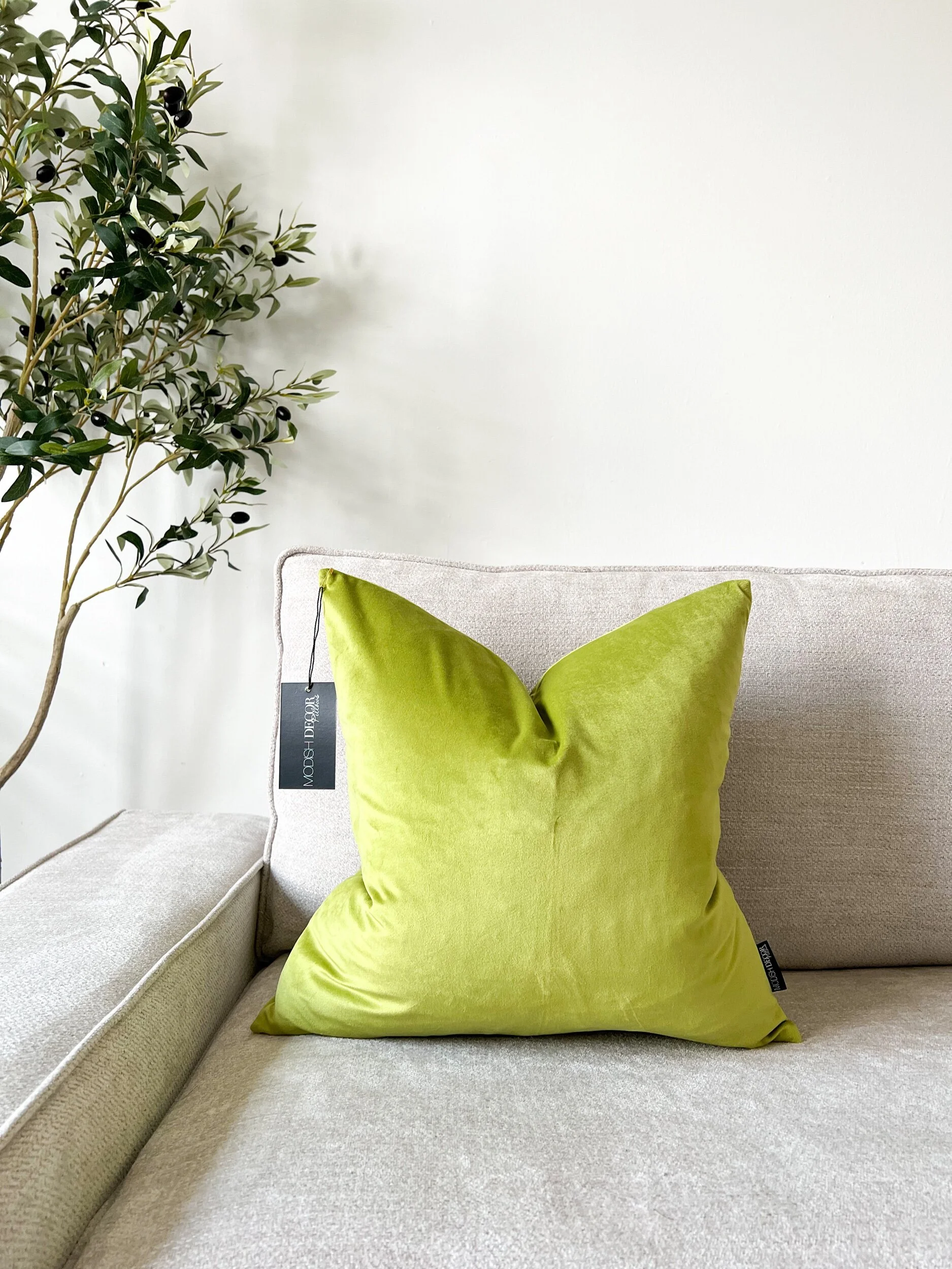 1B1788B5-FE52-46F9-9950-7A5CA5C7DC91