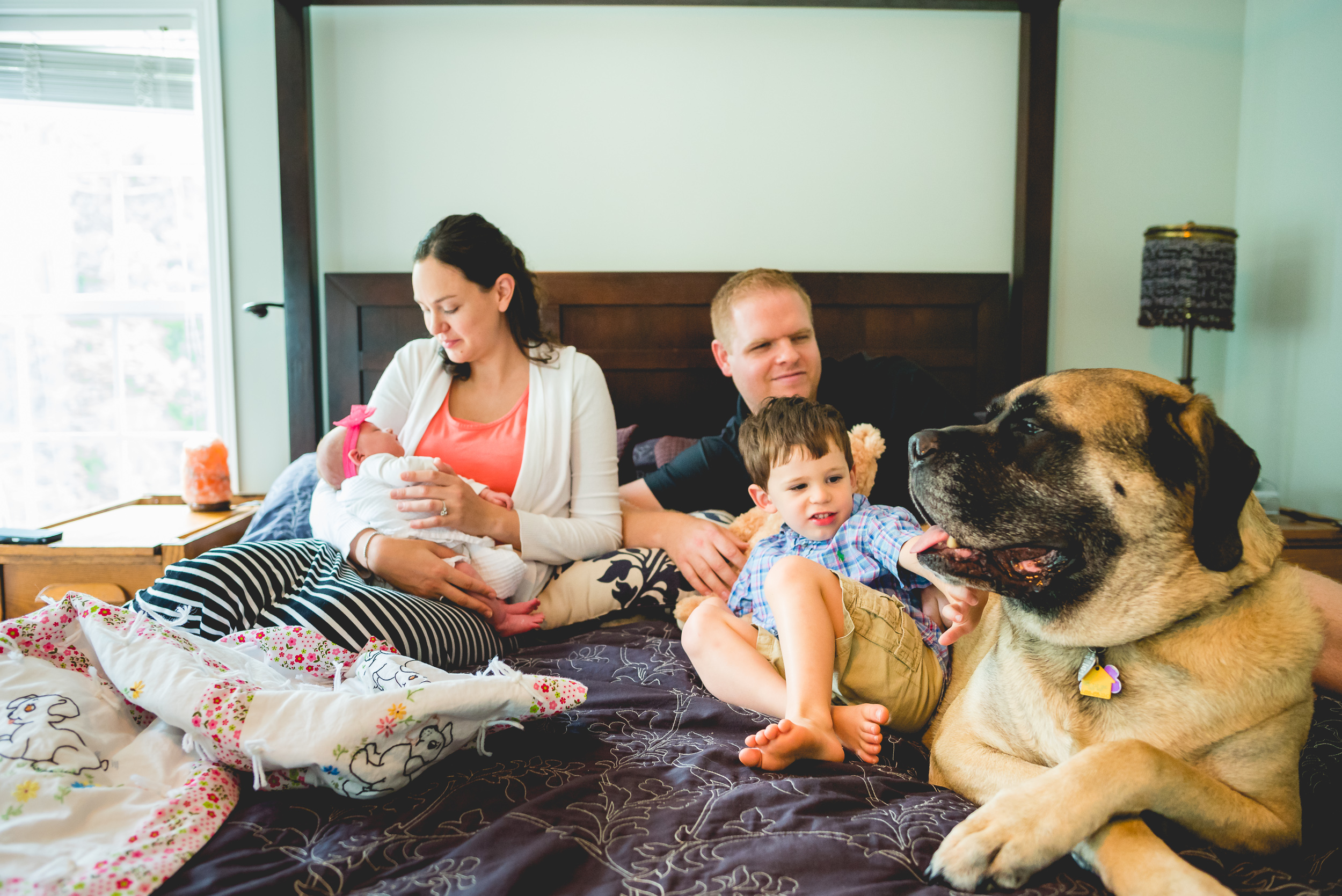 baby_shannon-48.jpg