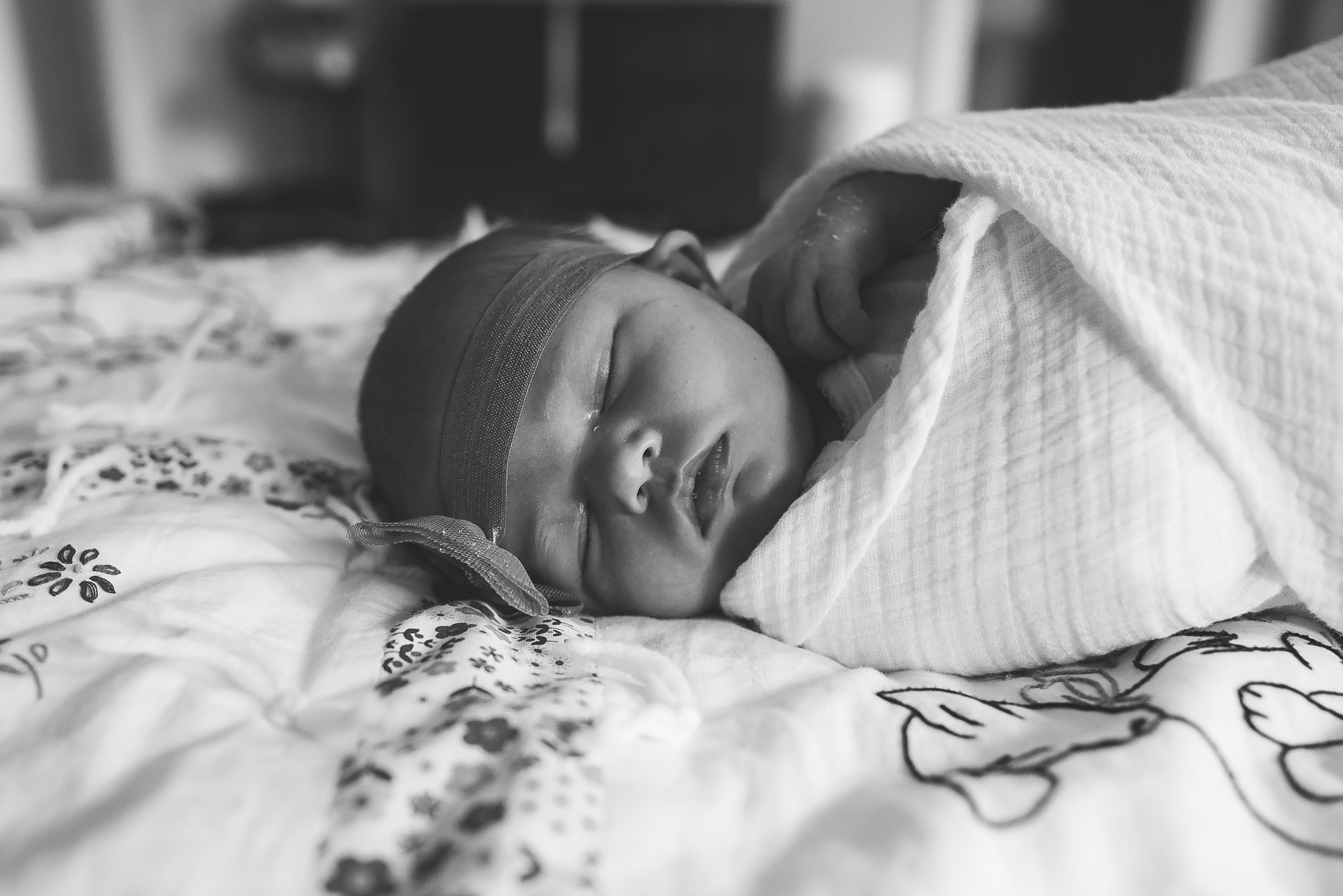 baby_shannon-74.jpg