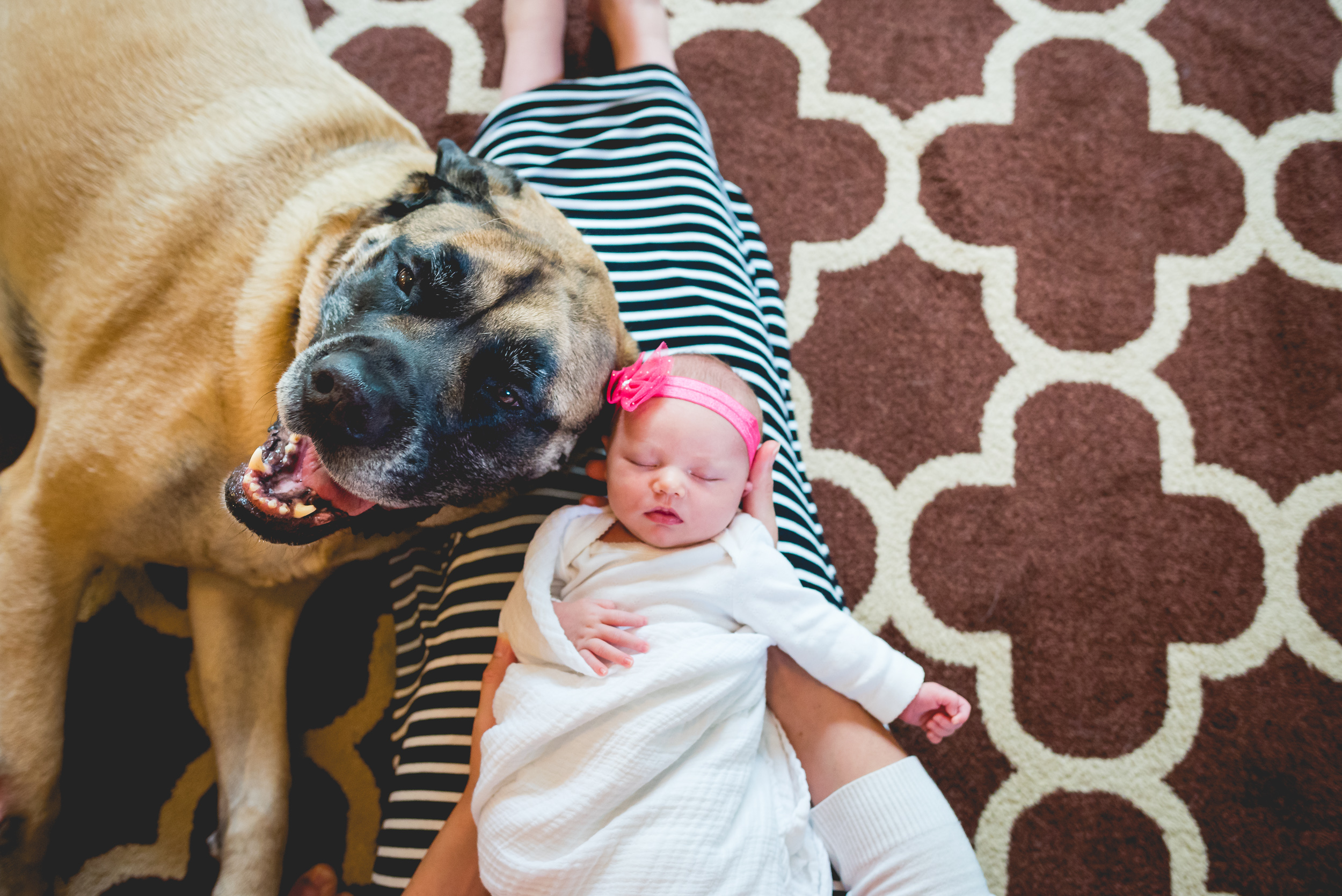 baby_shannon-106.jpg