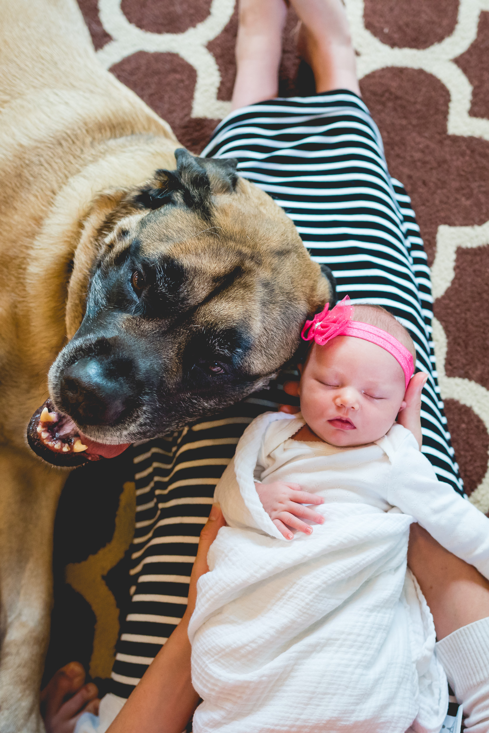 baby_shannon-107.jpg