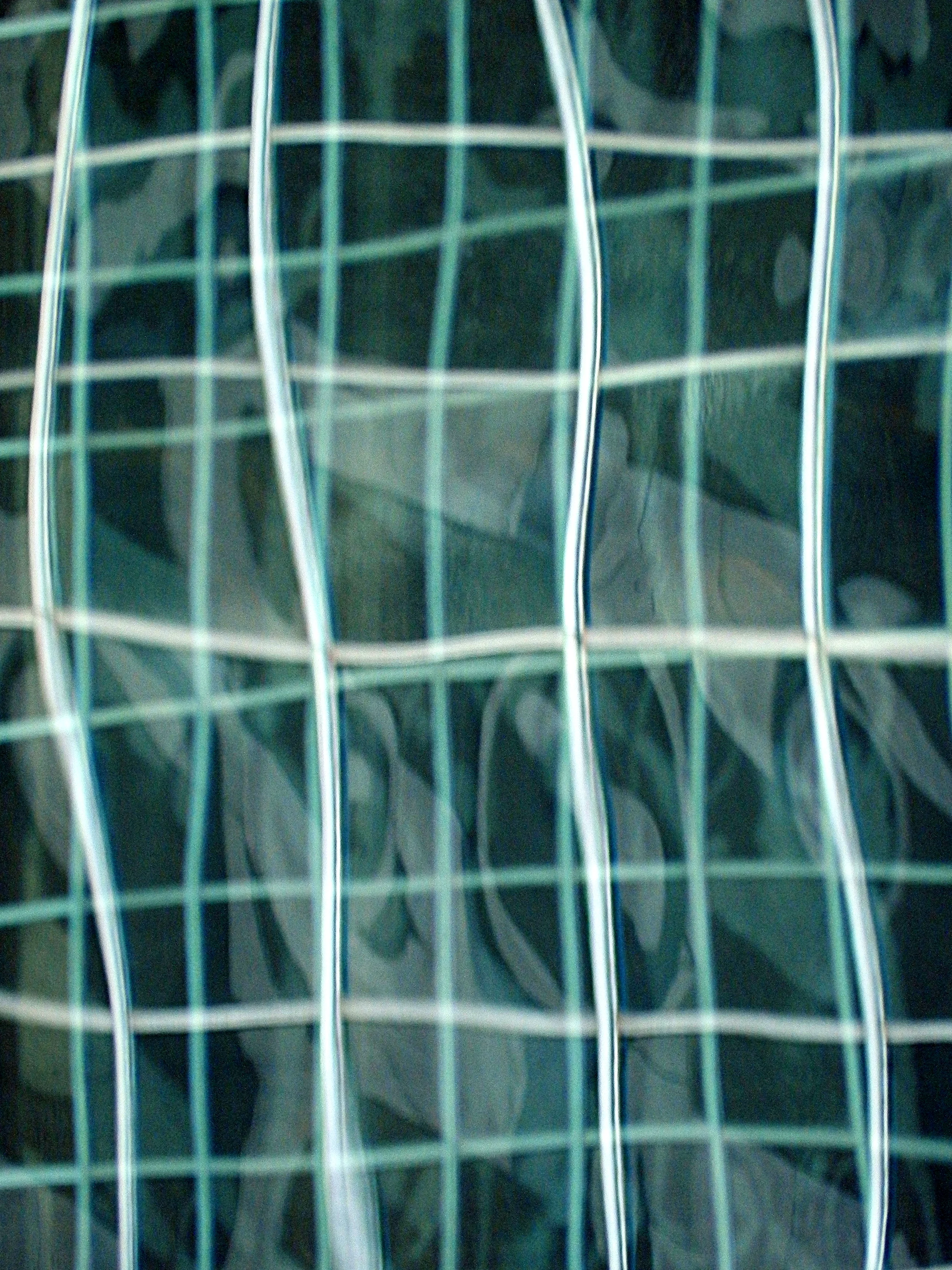 DSCN7207.JPG