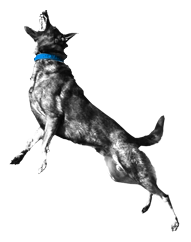 grimmay.png