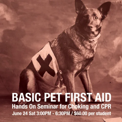 BASIC_FIRST_AID_JUNE_2017.jpg