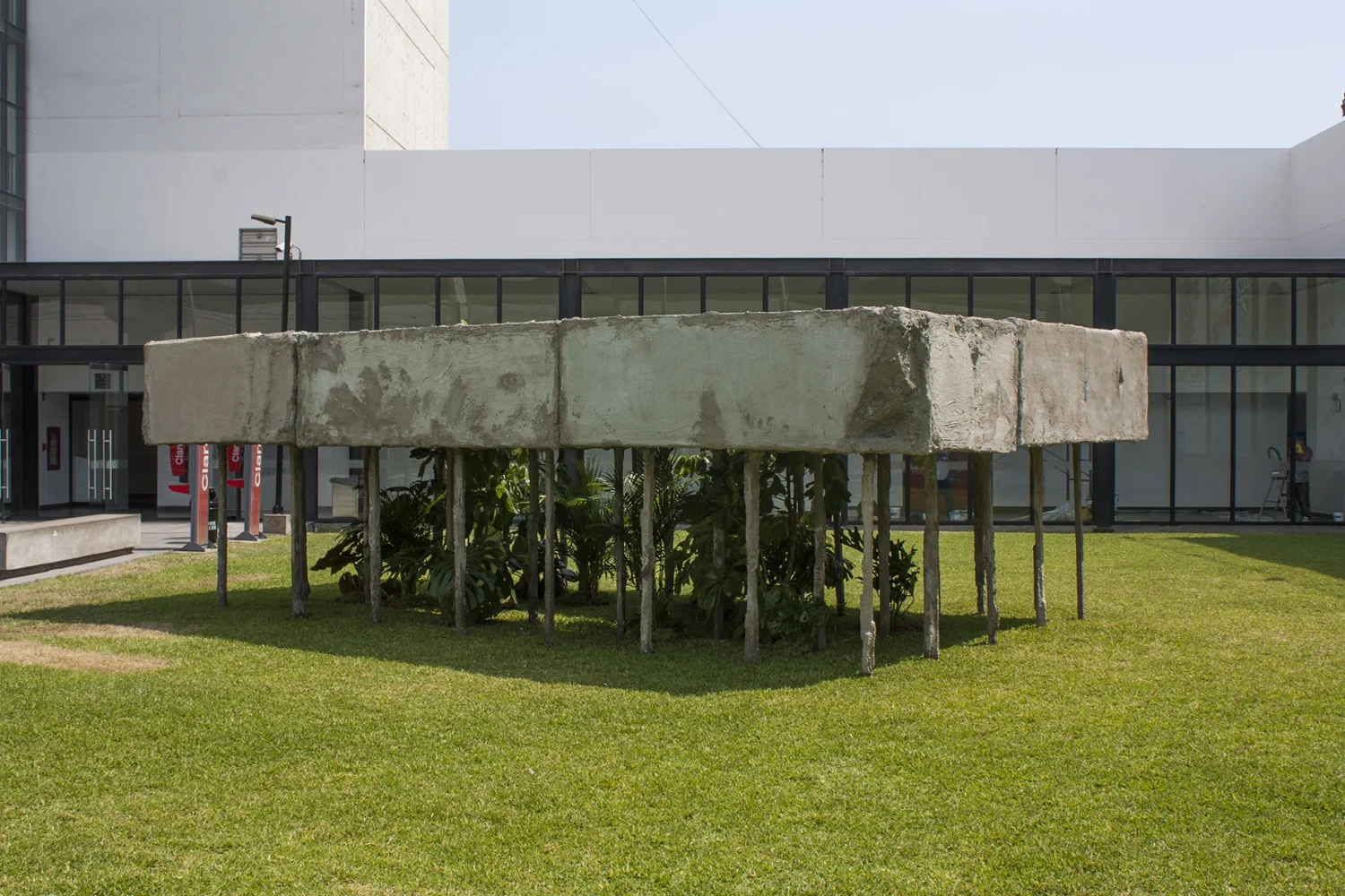 Folie de los pilotis , 2015, madera, poliestireno, yeso y cemento, palmeras, schiffleras y filodendros, 226 x 434 x 692 cm.