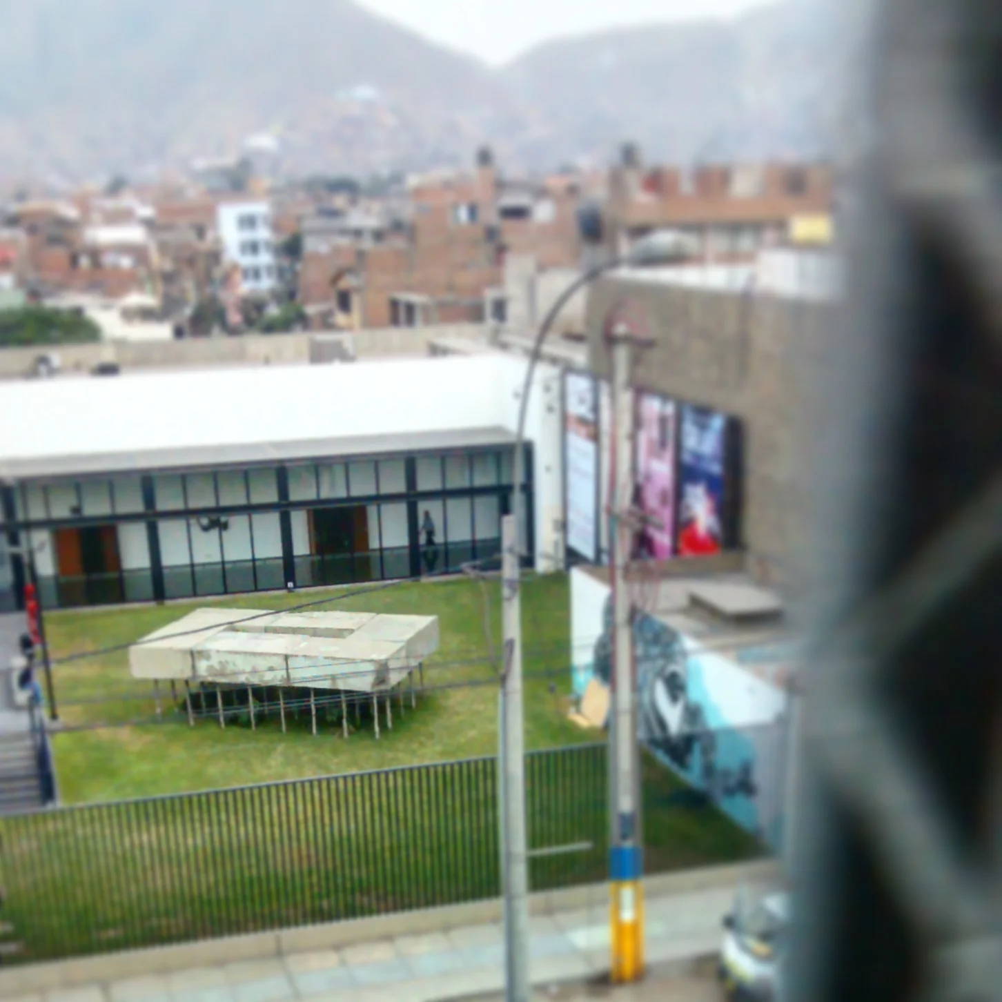 IMG_20150601_124614.jpg