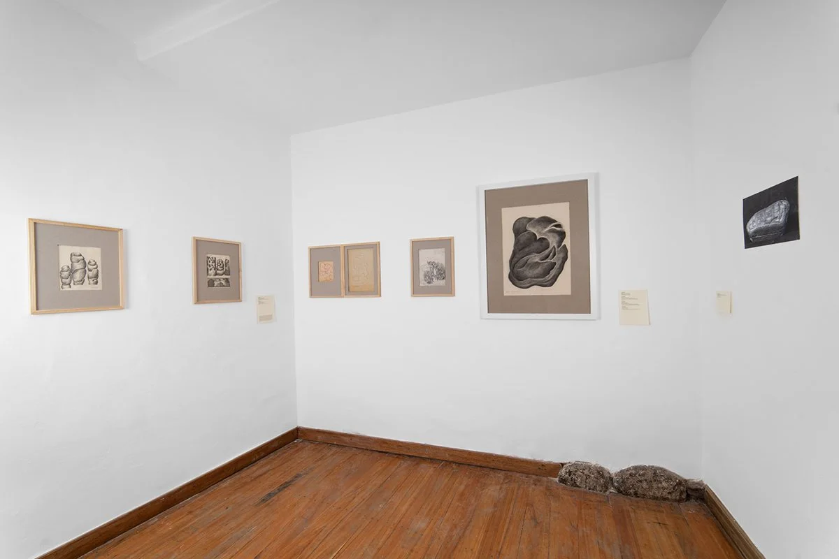 sone con piedras_001.jpg