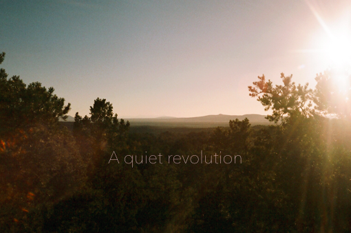 Our own quiet revolution (Leia and Johnny speaking) We all have different things that light us up. Goals and ideals. / Shed is the practice in that we, you, anyone can start a quiet revolution, to actively vote not with our words but with our actions in shaping the world in a way that we would like to see it. Thank you all for being here to listen to and to support all these amazing people in our community, who are in their own way also starting quiet revolutions. We are so grateful to be included in it. Thank you!