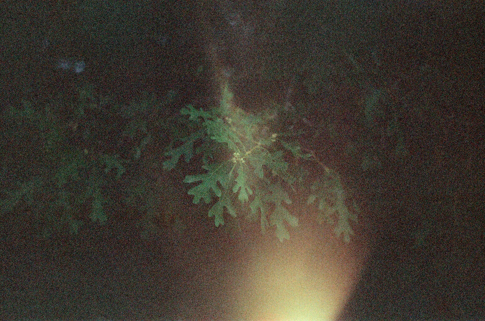 000068670016.jpg