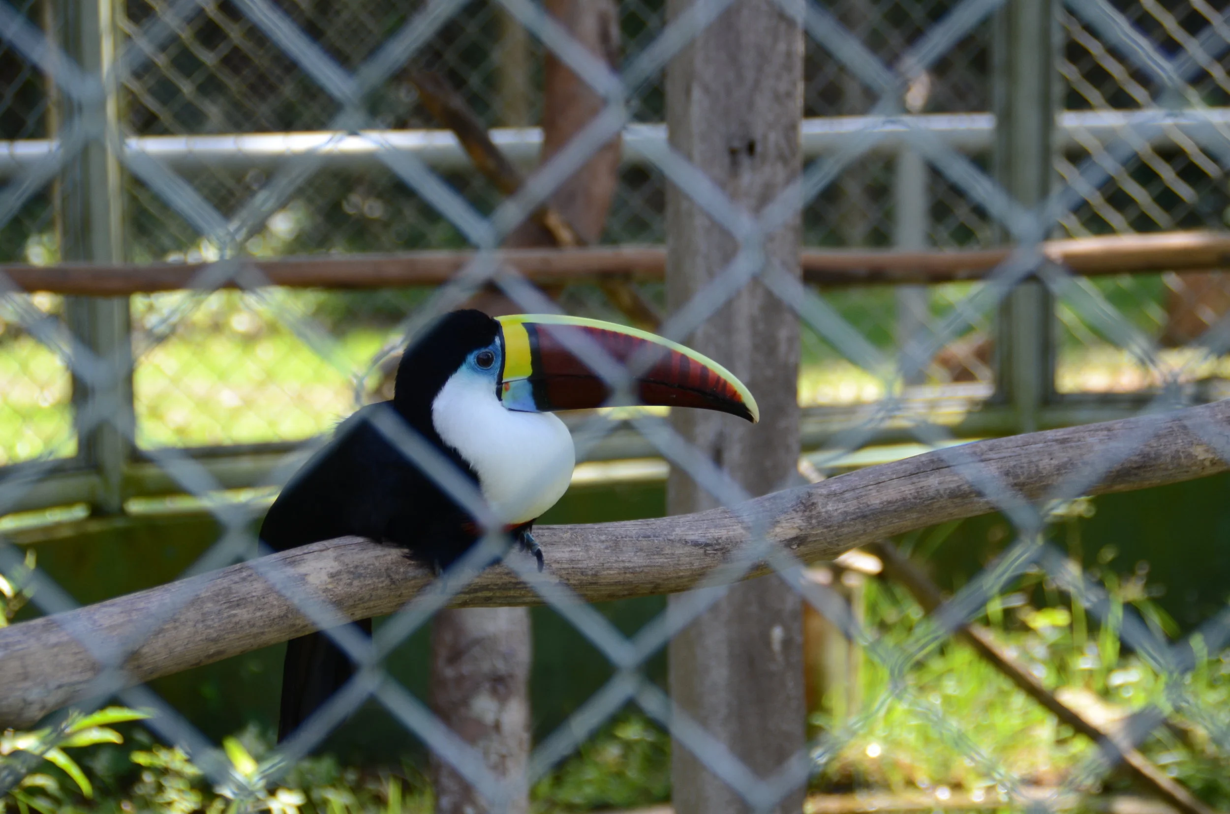 DSC_2465.jpg