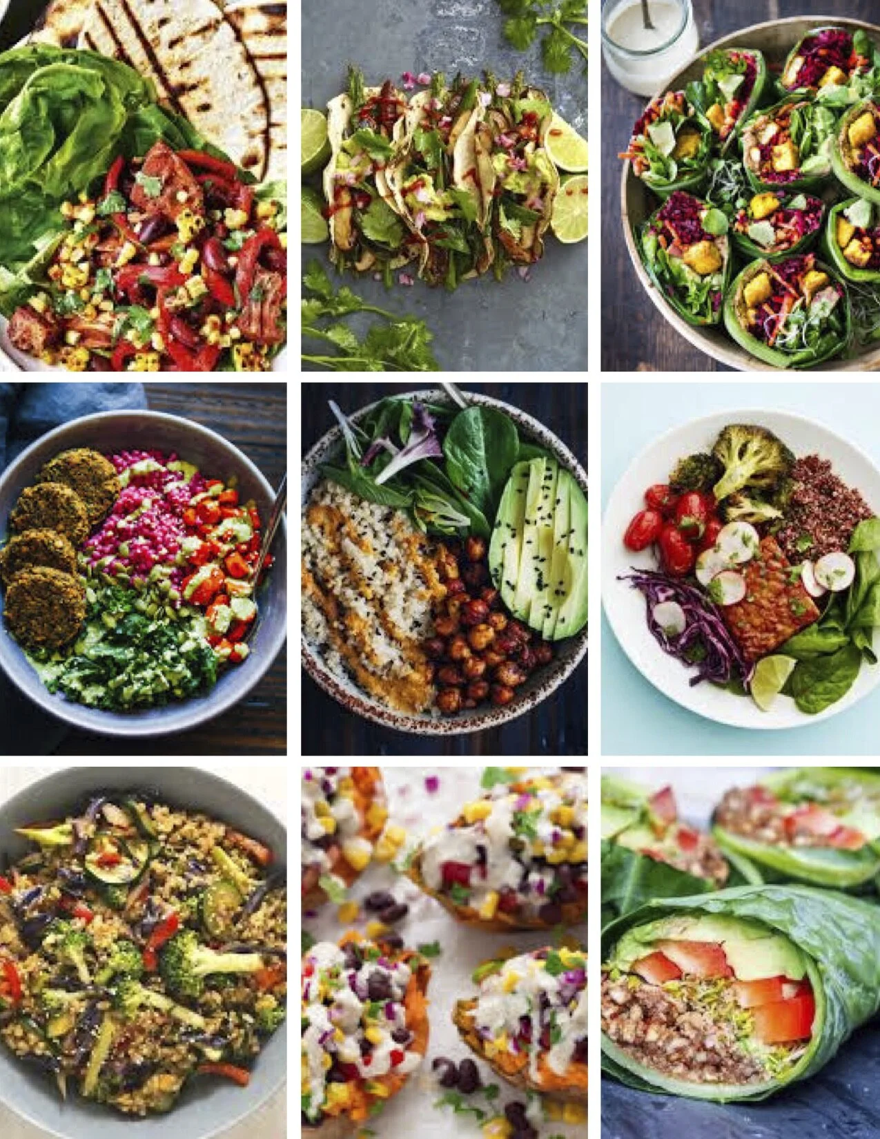 Vegan Meals .jpg