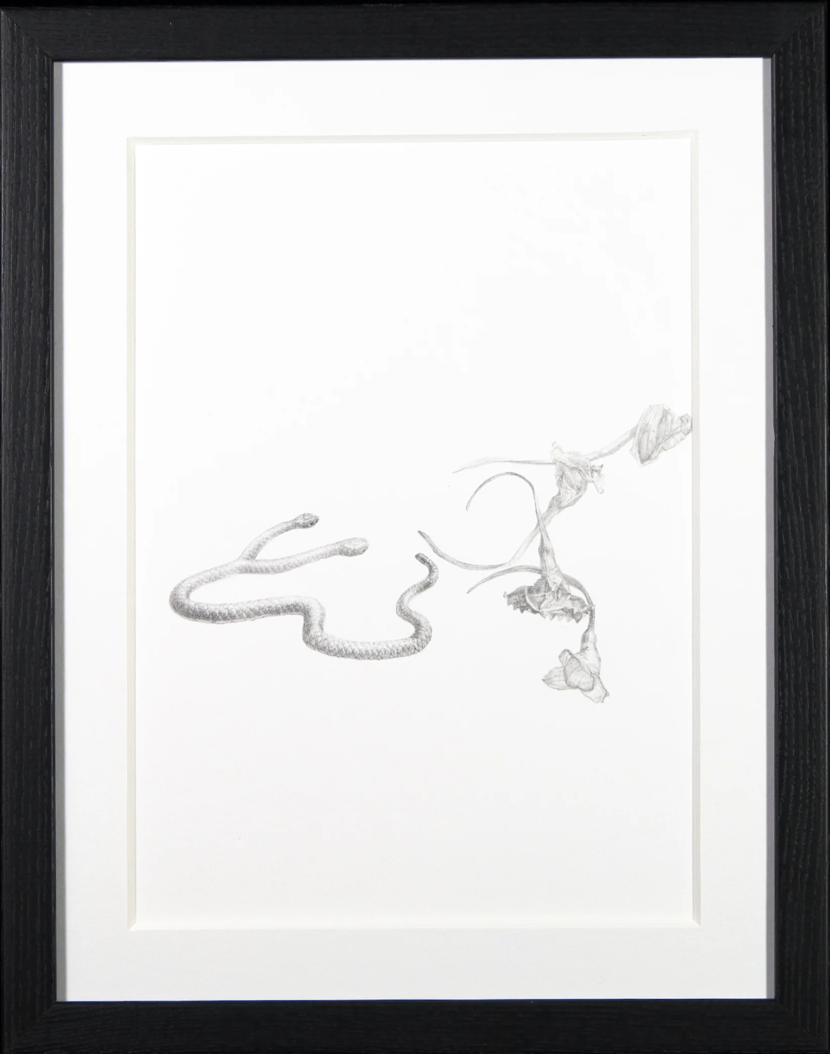 At Loose Ends - $250 - Pencil on Paper, 11'' x 14'' , FRAMED. 