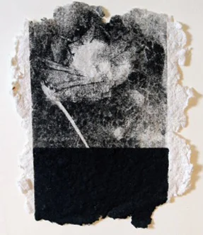 Plucked to Death #2 - $100 - Unique Lithograph and Engraving on Hand Made Paper - 5'' x 6'' UNFRAMED. 