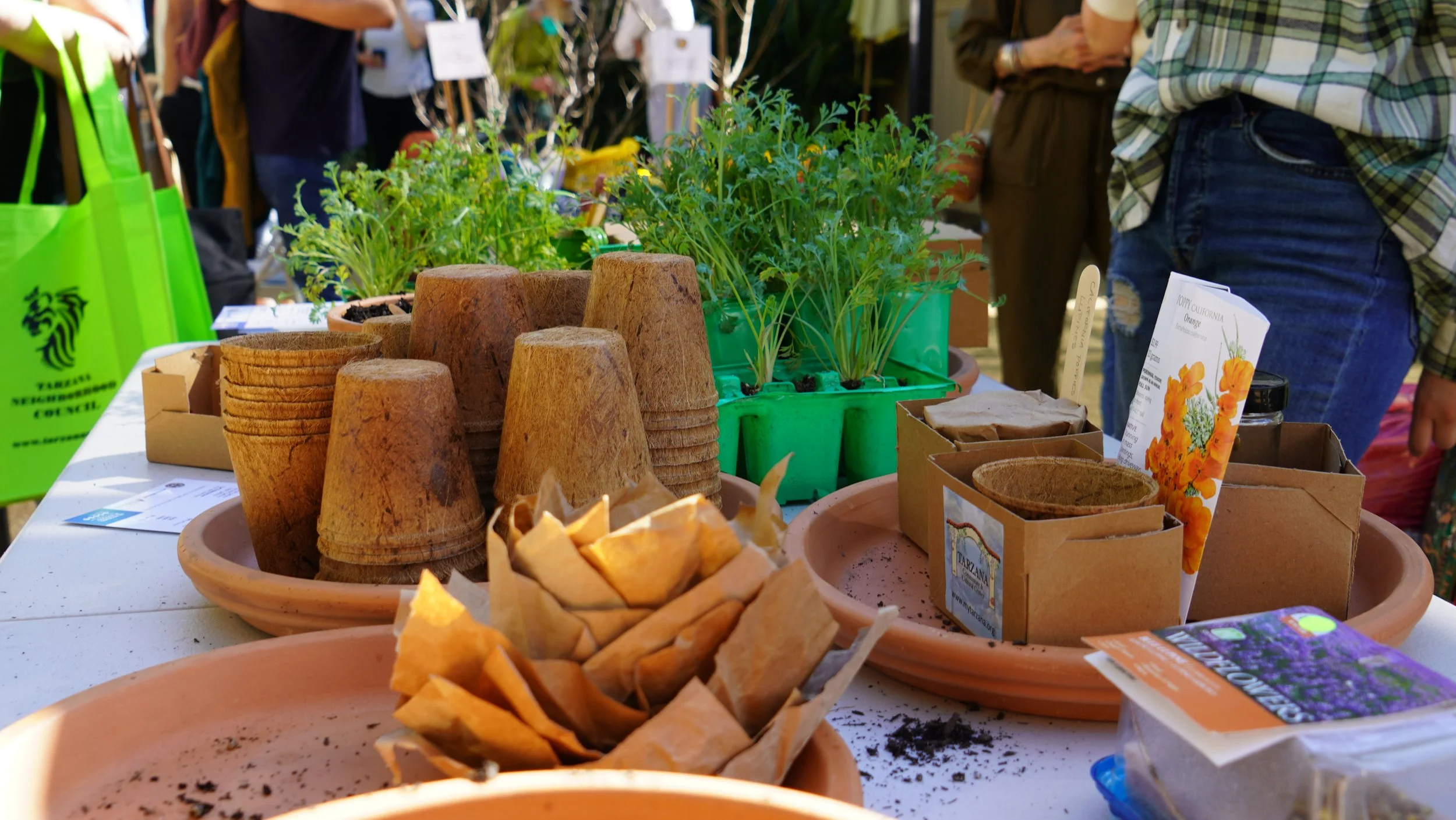 Native Wildflower Propagation Station 