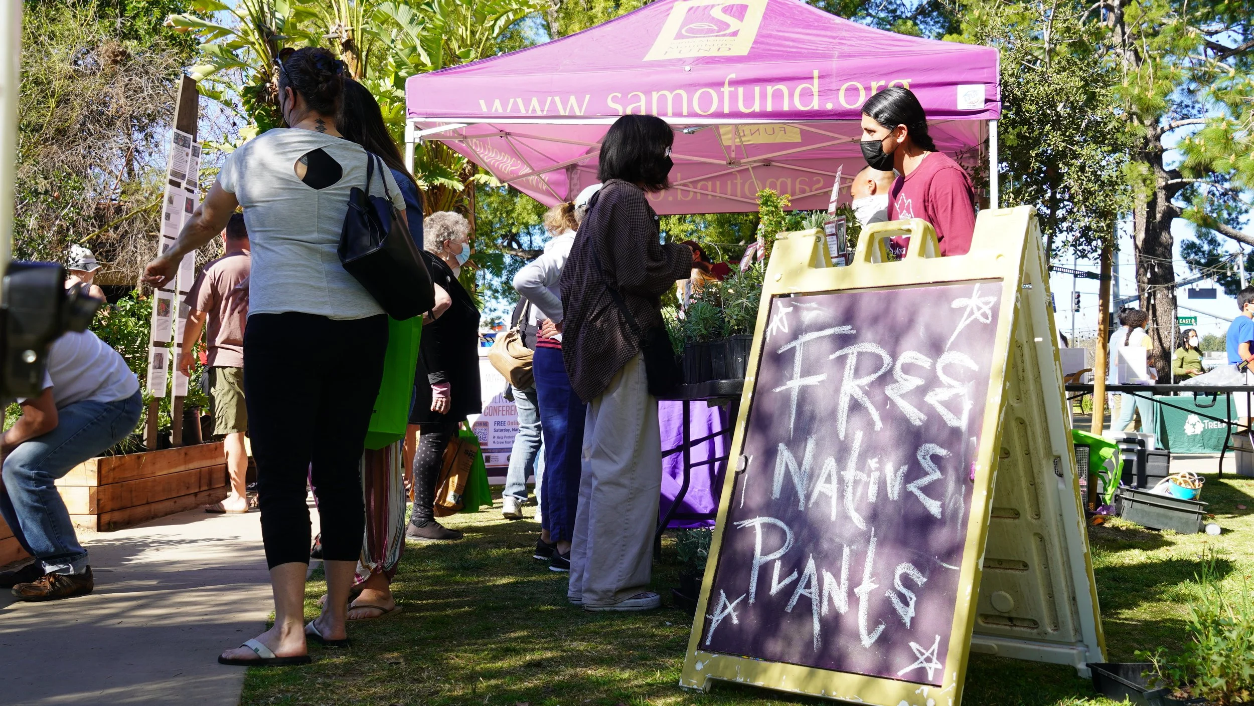 SAMO Fund Plant Giveaway