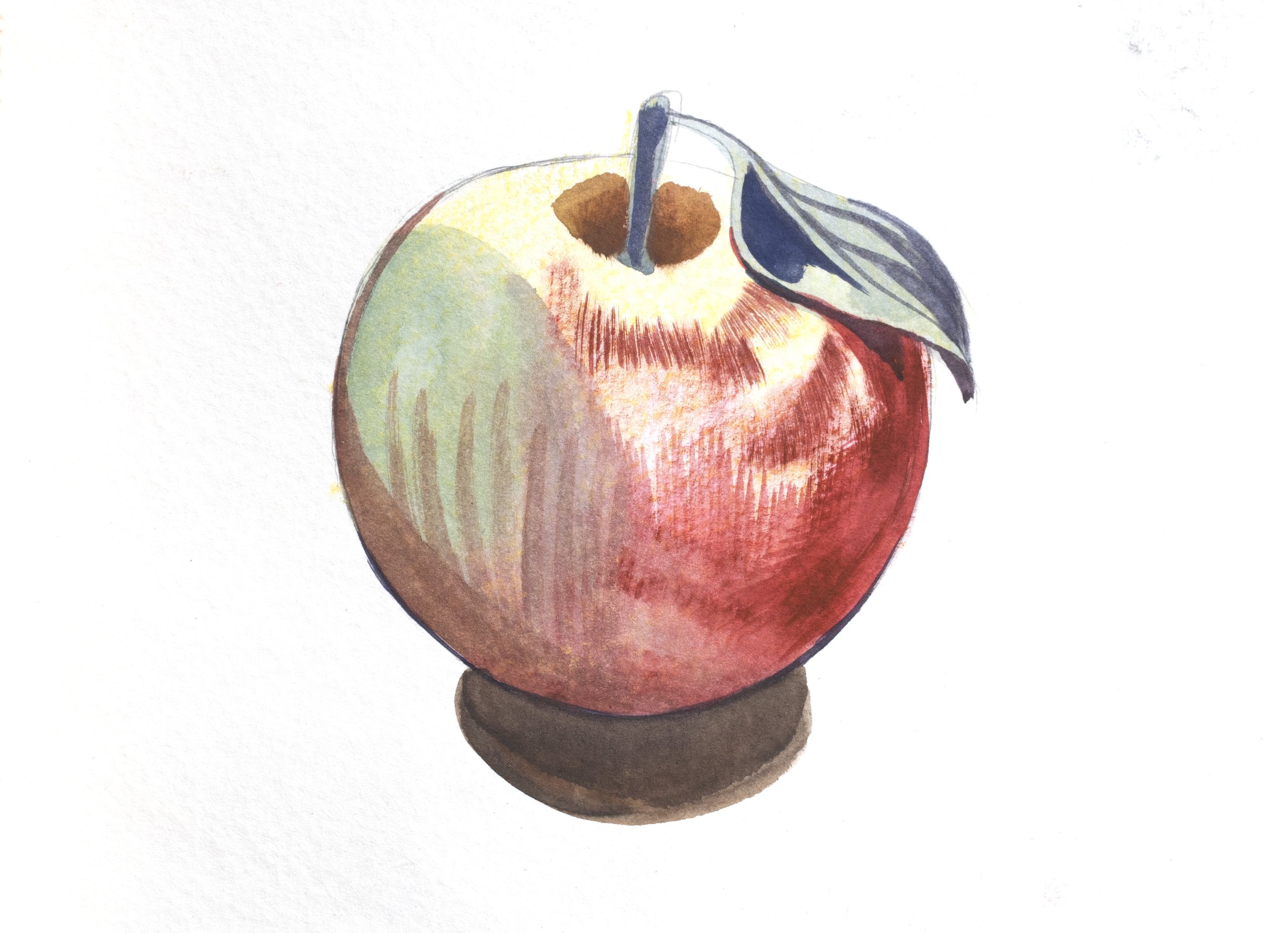 Watercolor Still Life 