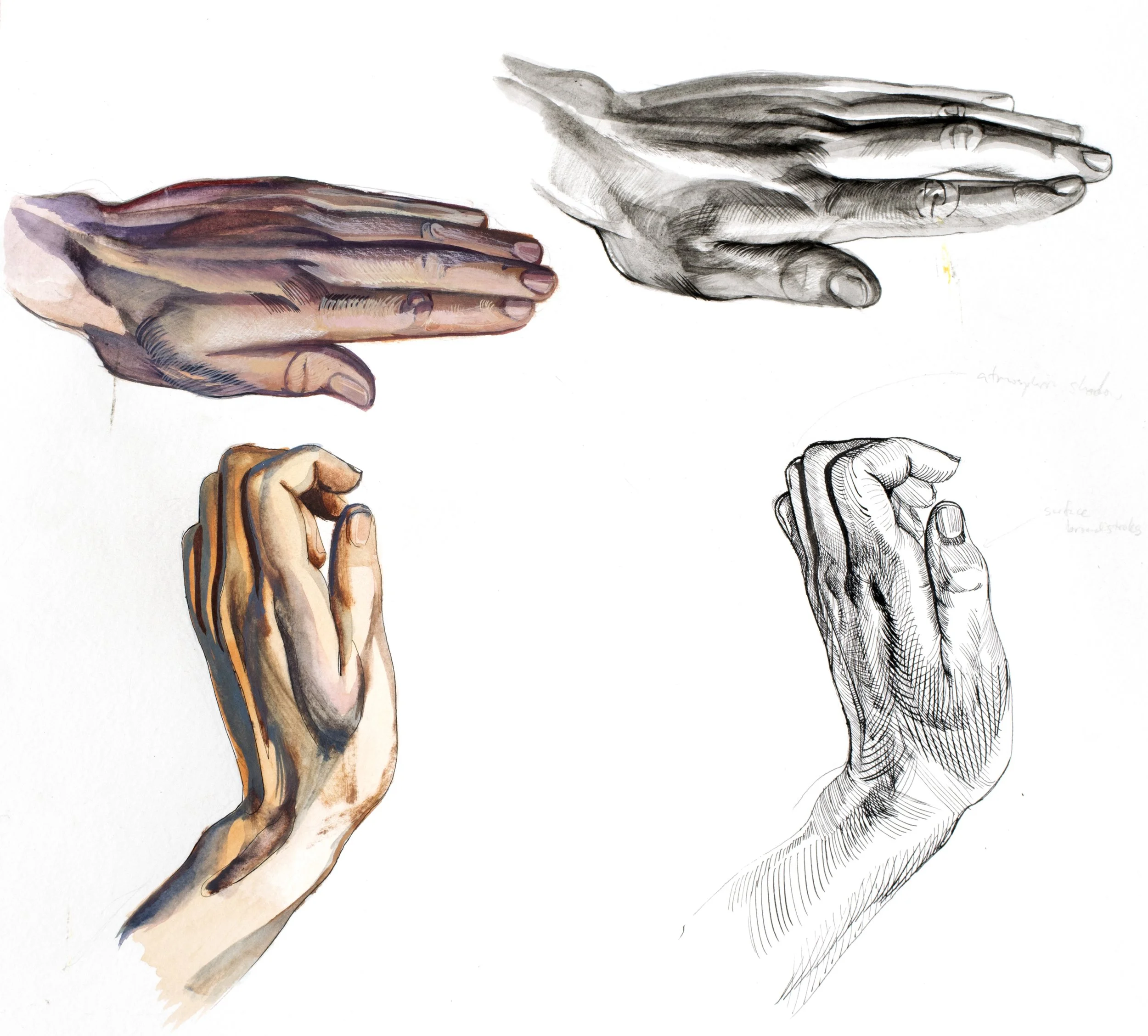 Hand Studies in Ink and Gouache.jpg