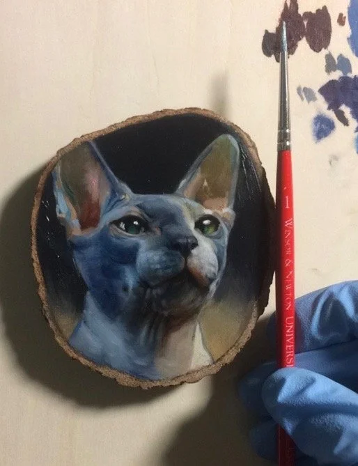 Sean cat.jpeg
