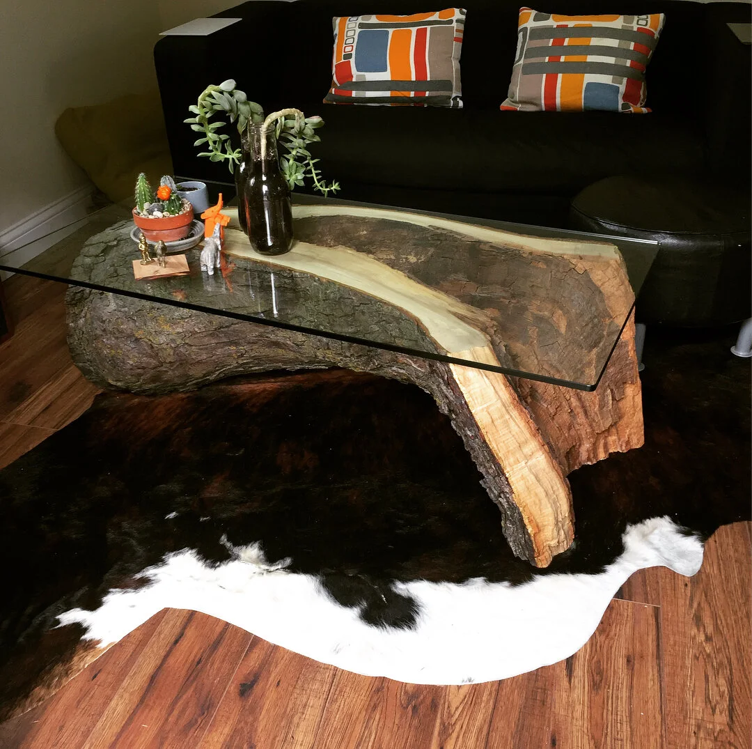 Live edge coffee table installed. Naturally fallen spalted silver maple 🍁 with the addition of a gilded cambium layer. 4' x 2' x 1/2" glass with flat polished edge. #fibrempls #woodworking #liveedgefurniture #coffeetable #furniture