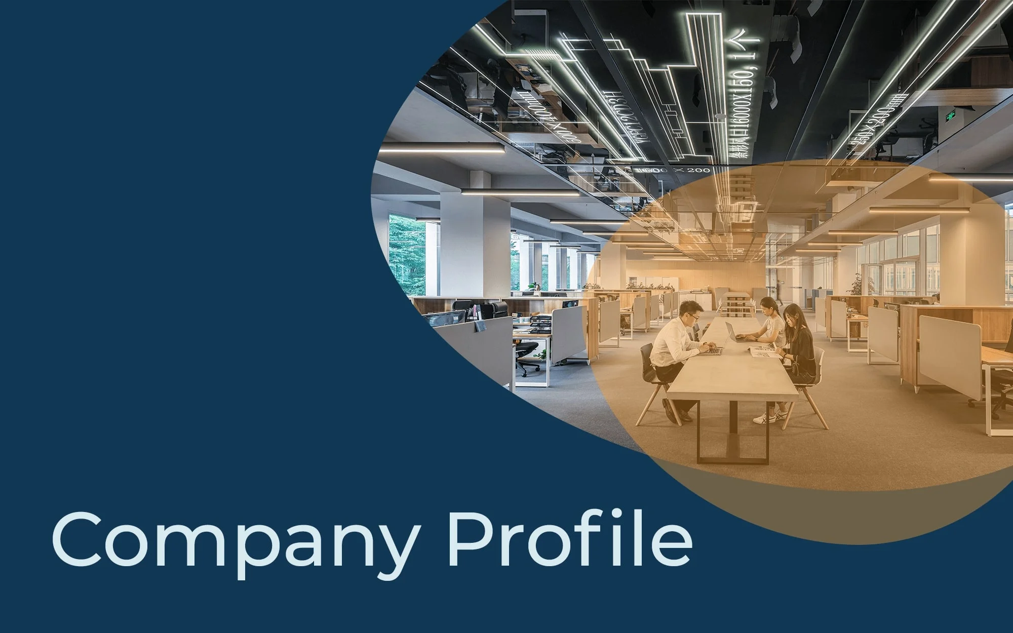 Company Profile Template 