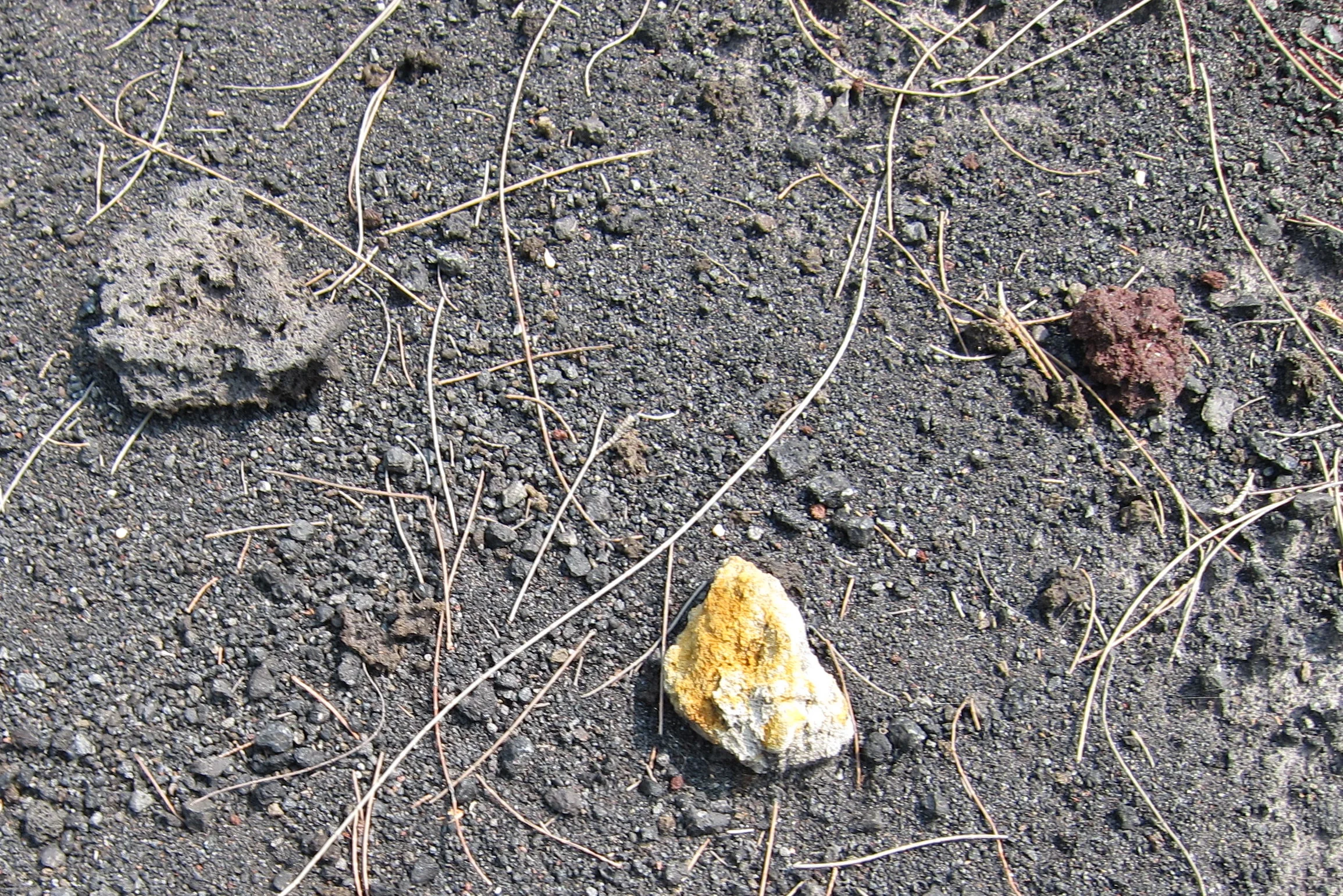  A sulfur-rich rock (yellow) from the volcano. The red rocks are iron-rich. 