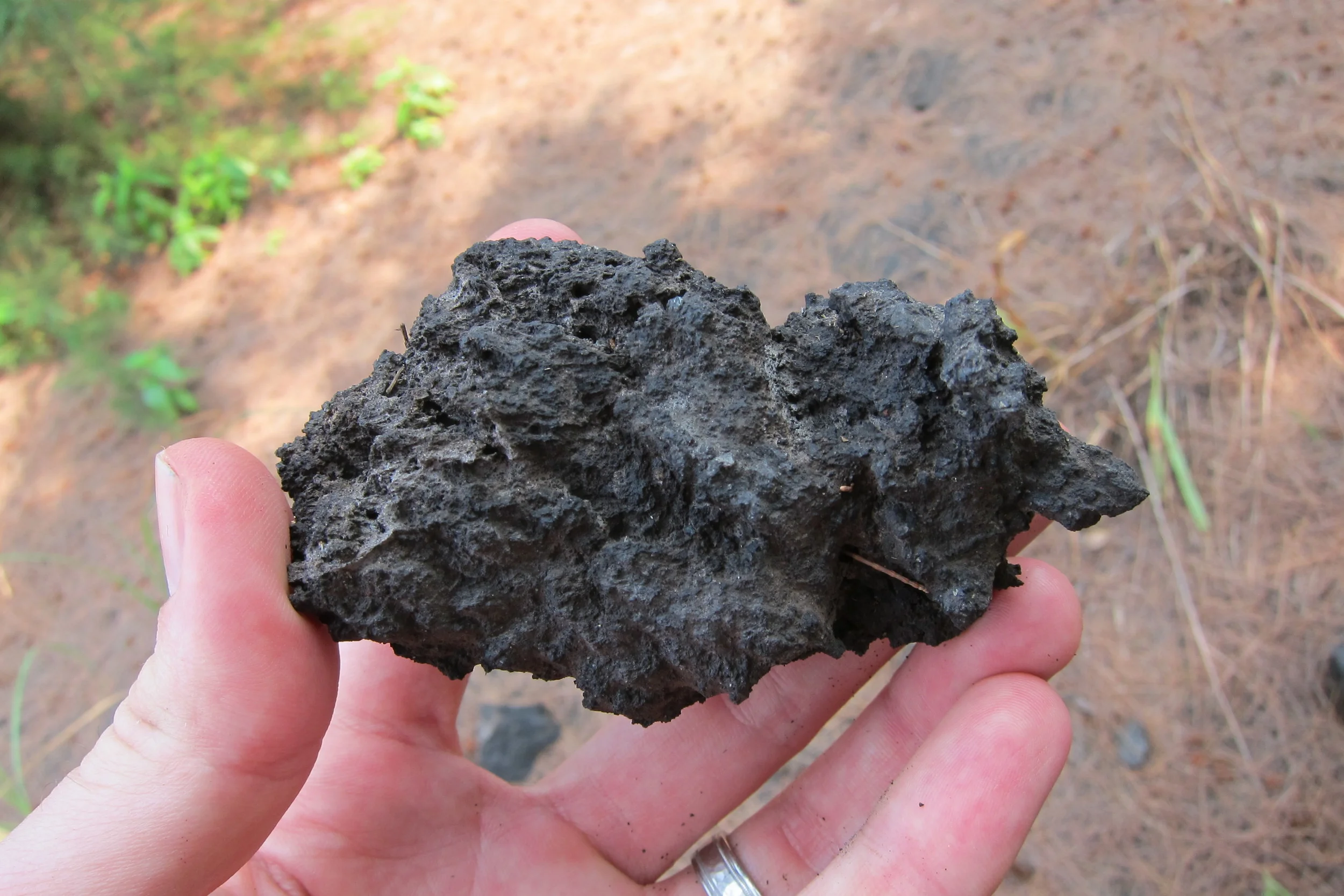  an igneous rock sample formed from the underlying magma 