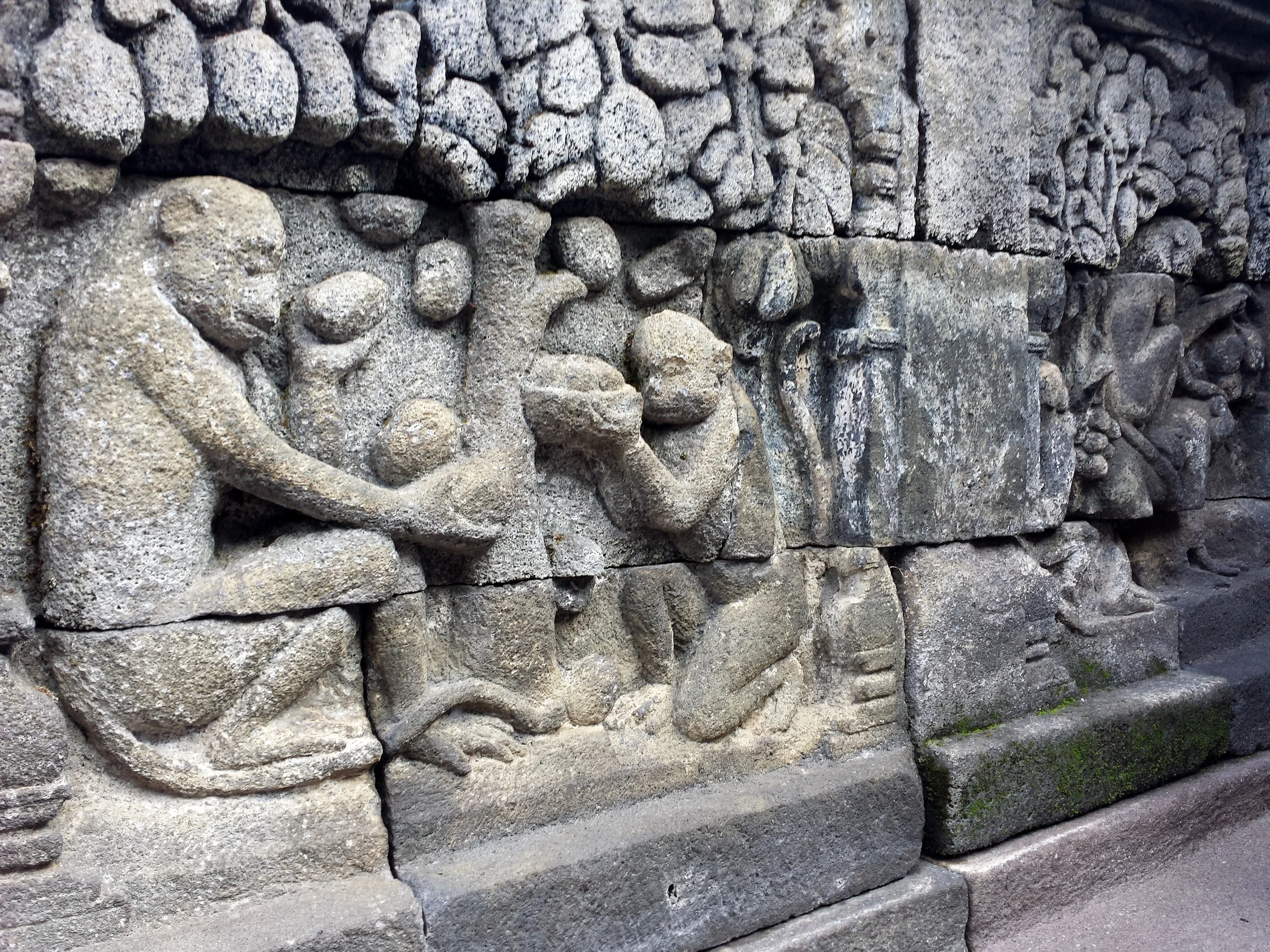  Buddha, as a monkey, shares his mangoes. 