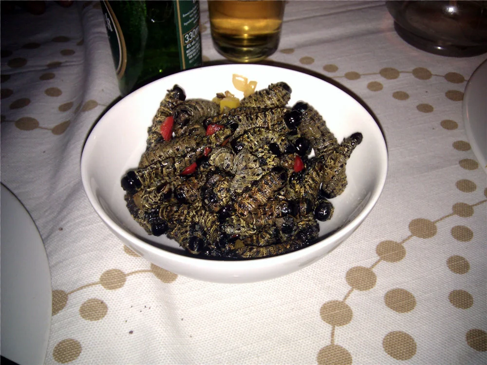 worms for dinner