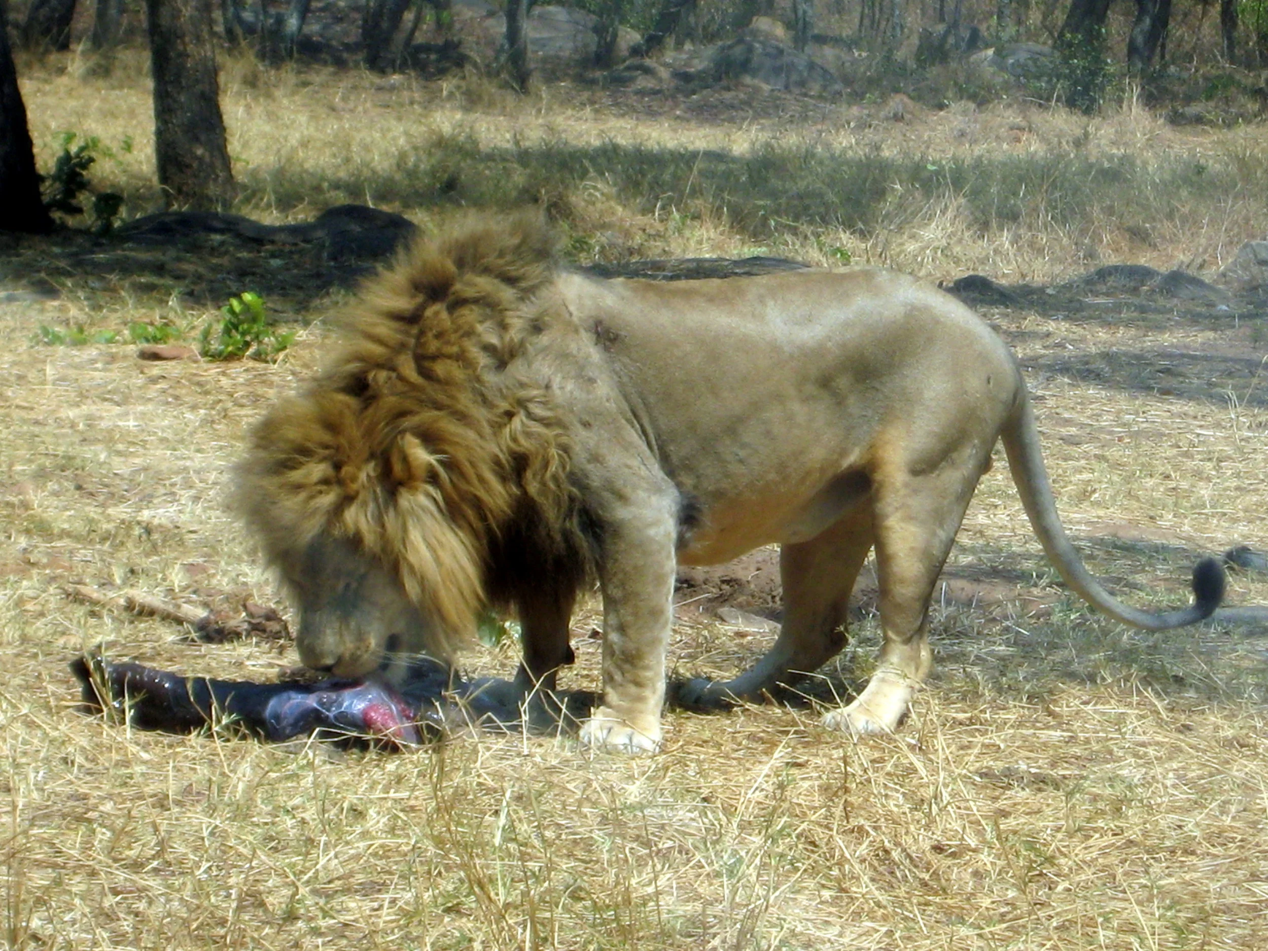  lunch time 