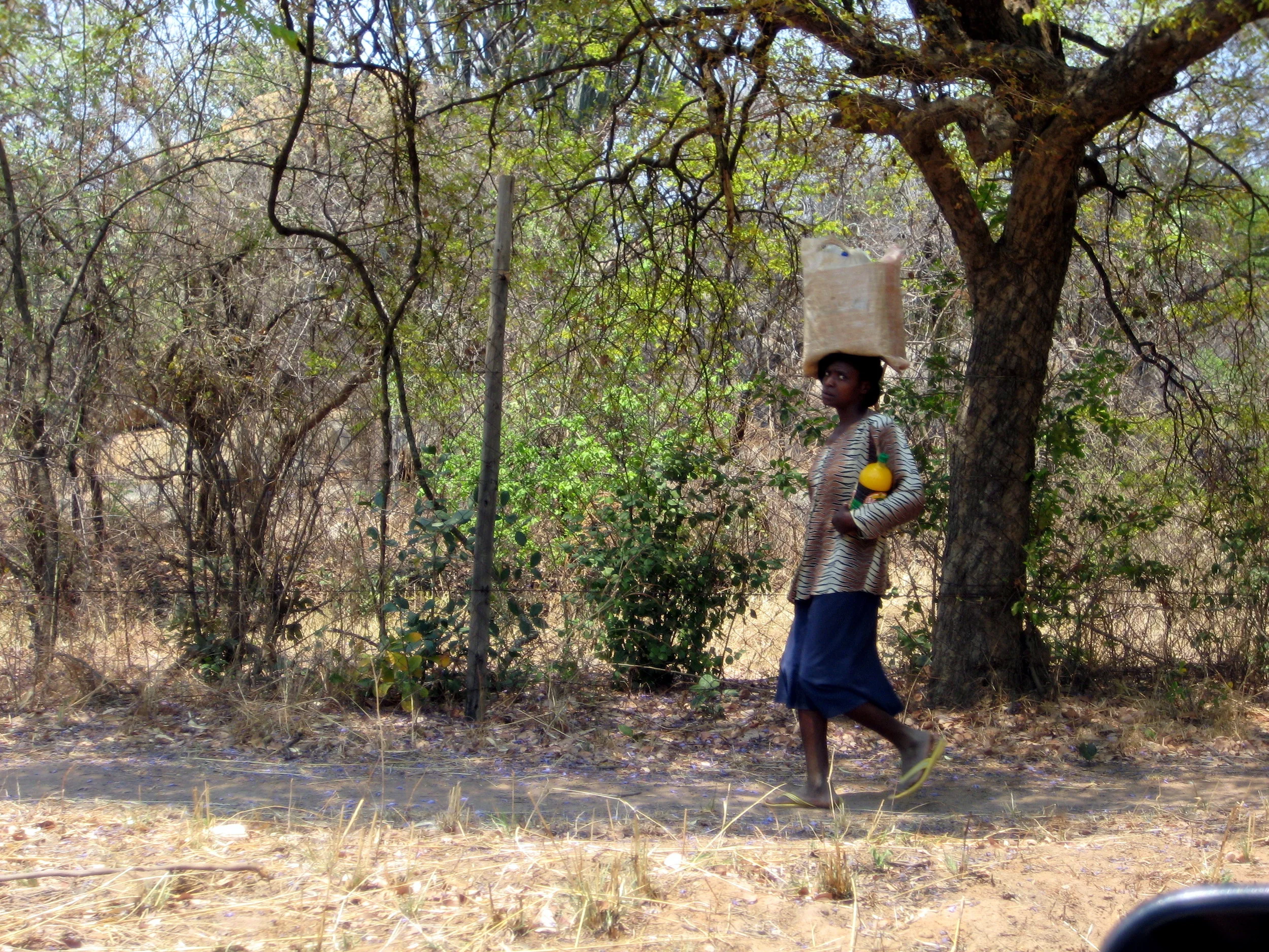  Zimbabwean women carry many things are on their heads. 