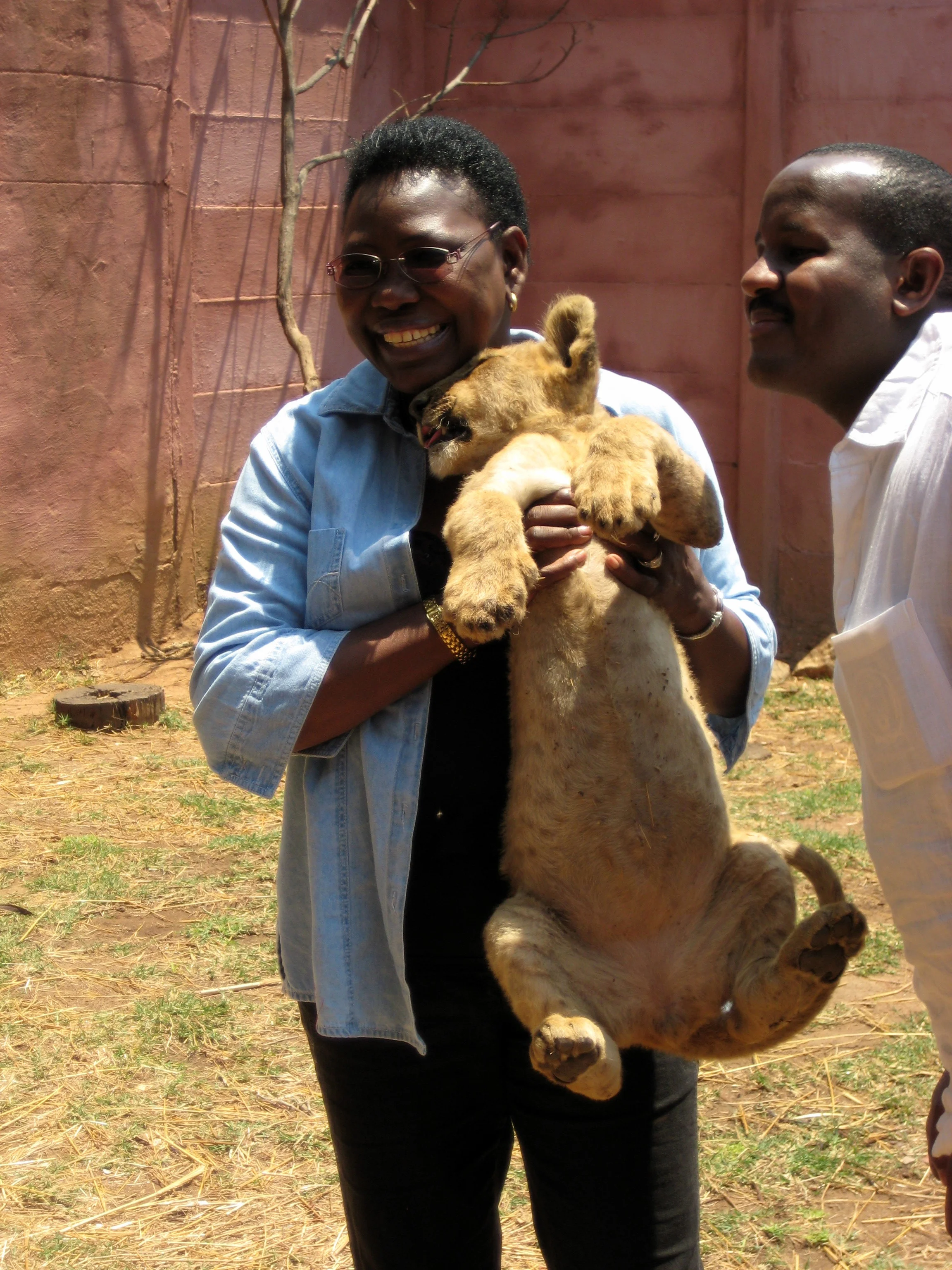  Joyce bravely holds a young lion. 