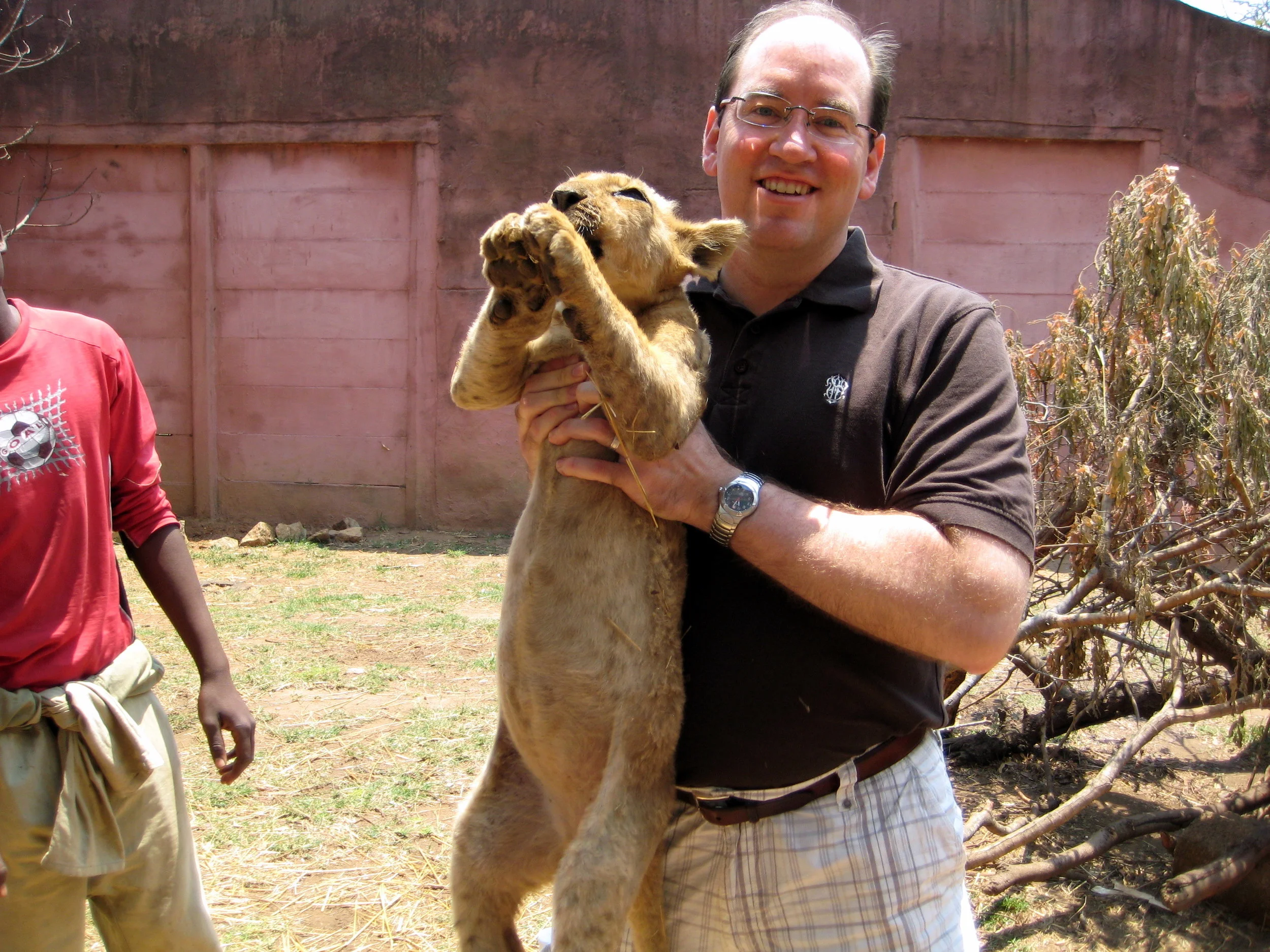  Bob holds the lion cub. 