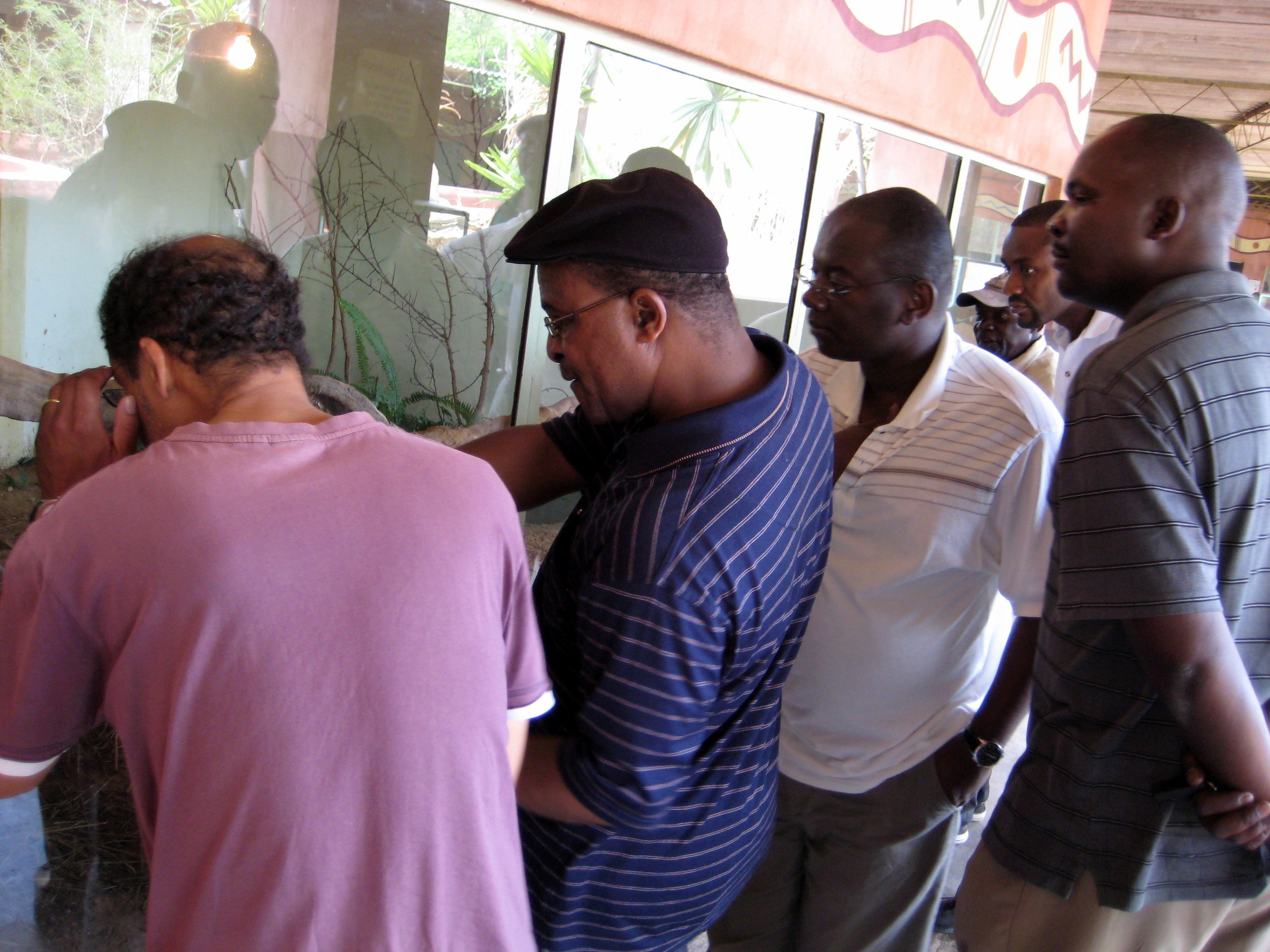  A trip to Snake World catches the guys' attention. 