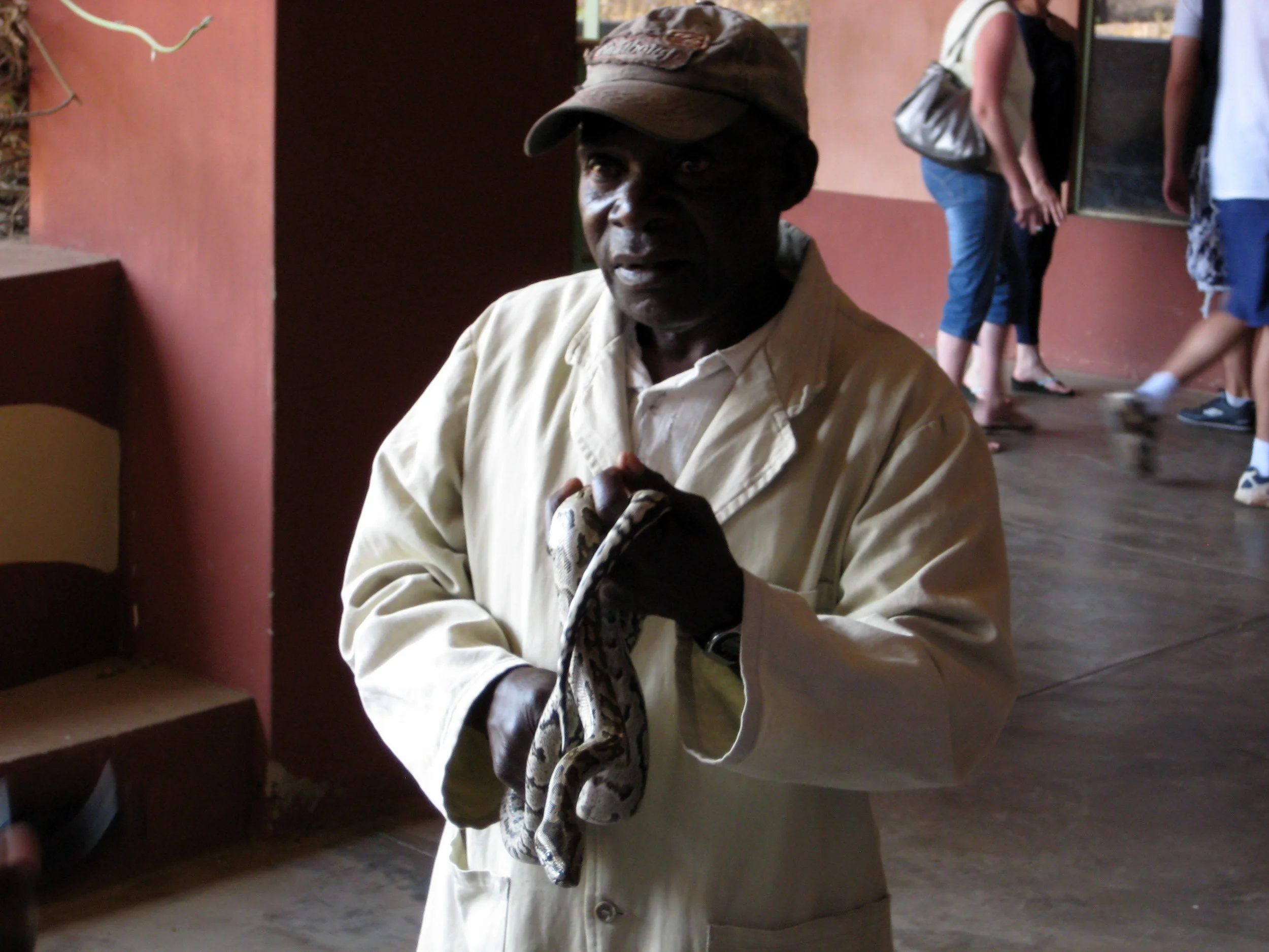  The younger snakes are more dangerous because they don't regulate their venom--they eject all of it at once. 