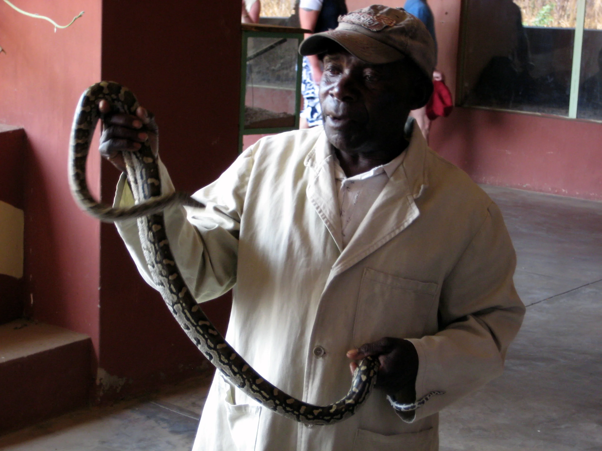 Our guide shows us a young python at Snake World. 