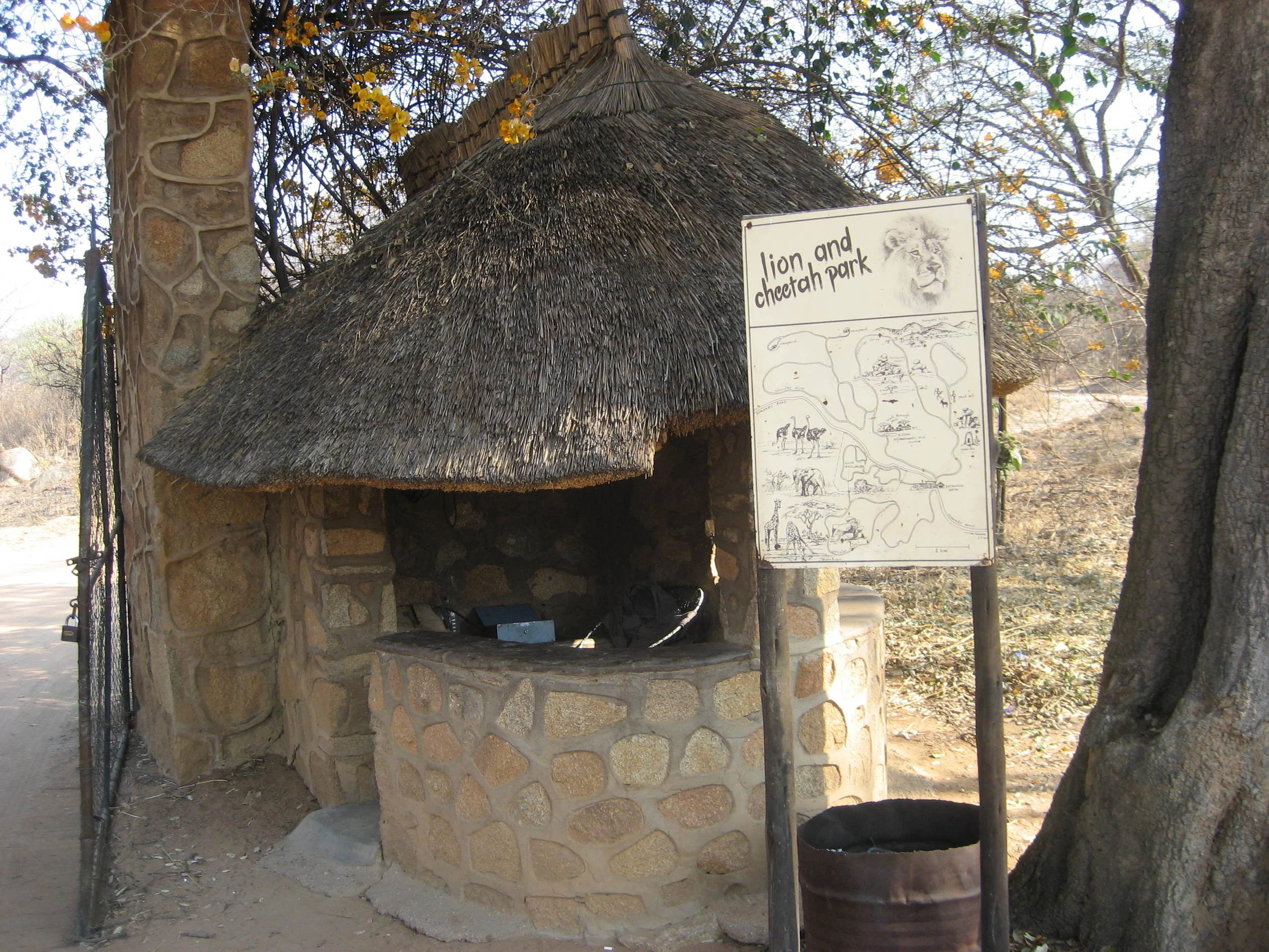  On Sunday, we visit the Lion Park. 