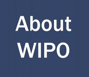 wipo square.JPG