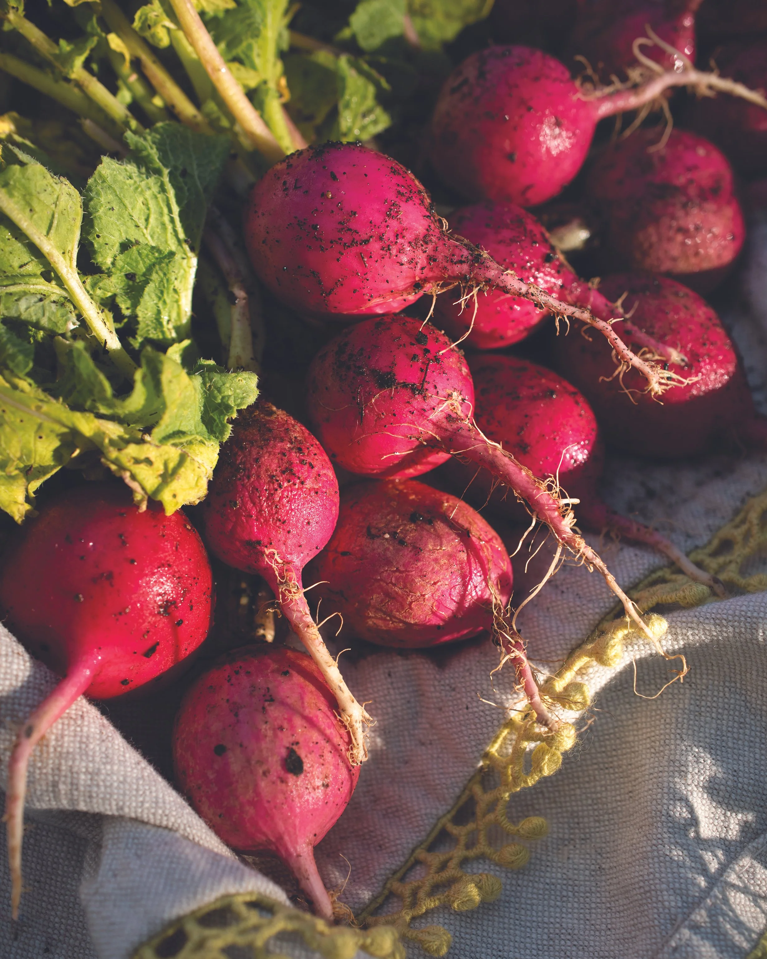 YoureRadISH.jpg