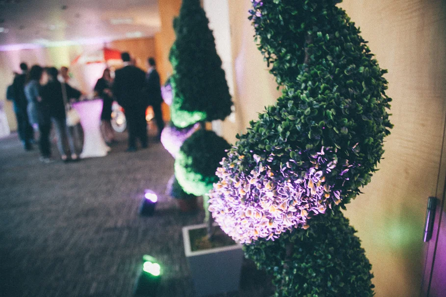 DENTONS_Art prize-4.jpg