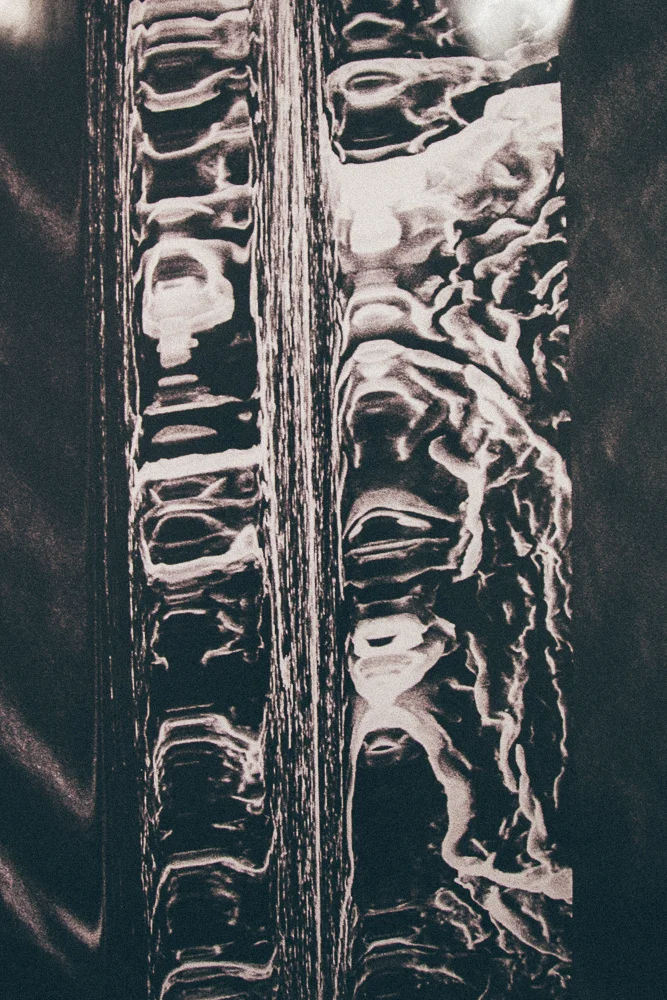 DENTONS_Art prize-216.jpg