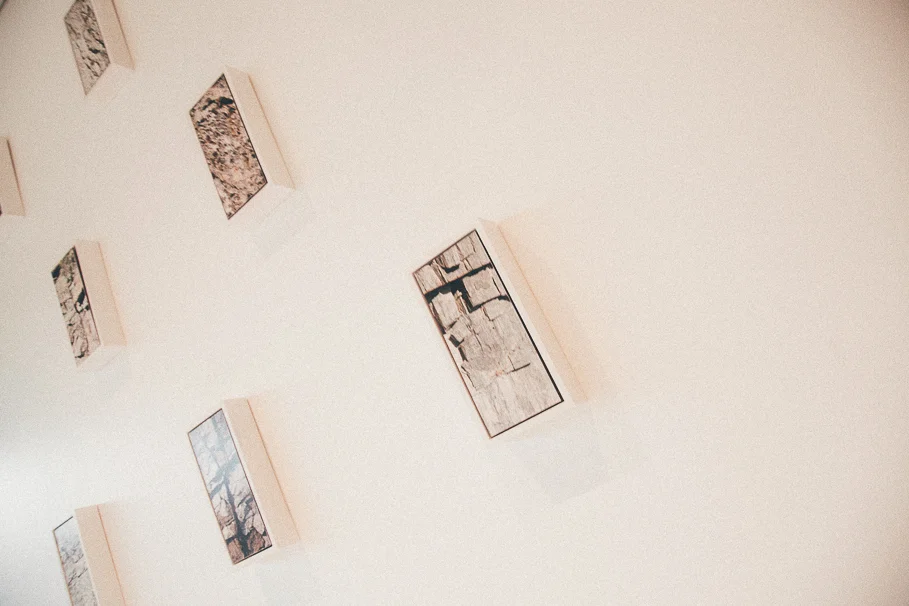 DENTONS_Art prize-228.jpg