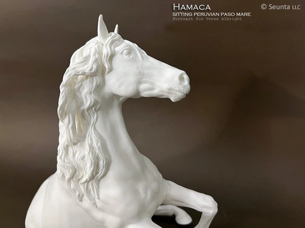 hamaca-3.jpg
