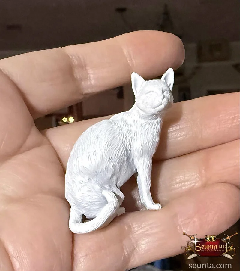 _cat-main.jpg