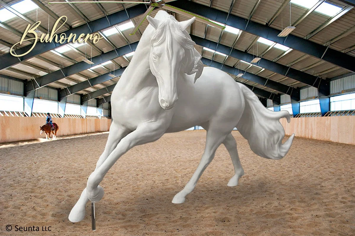 _buhonero-main.jpg