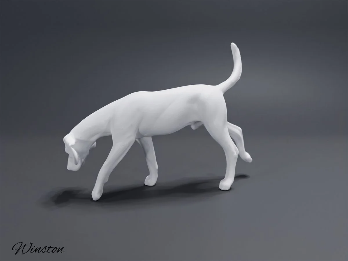 winston-3.jpg